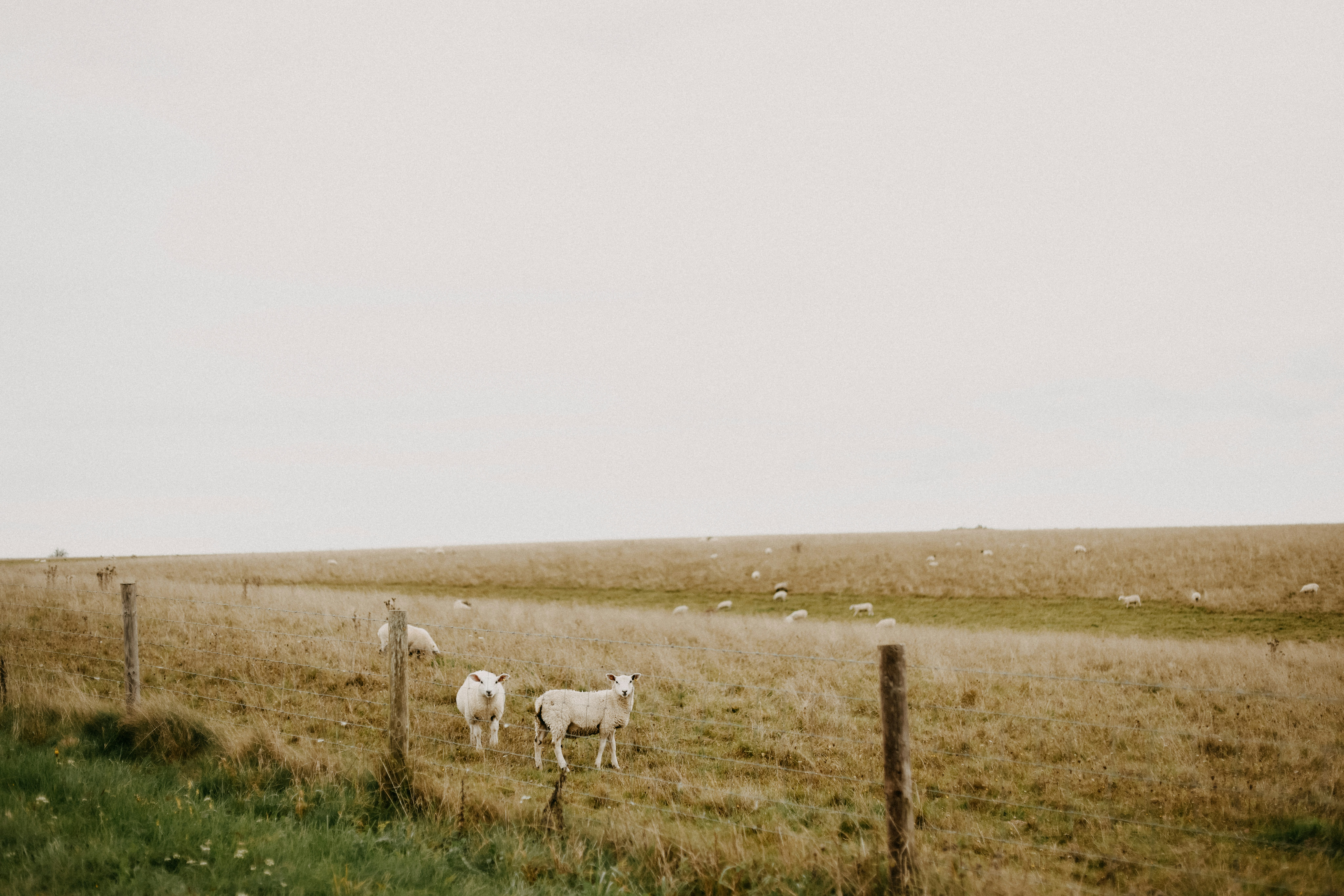 Photo by anniespratt