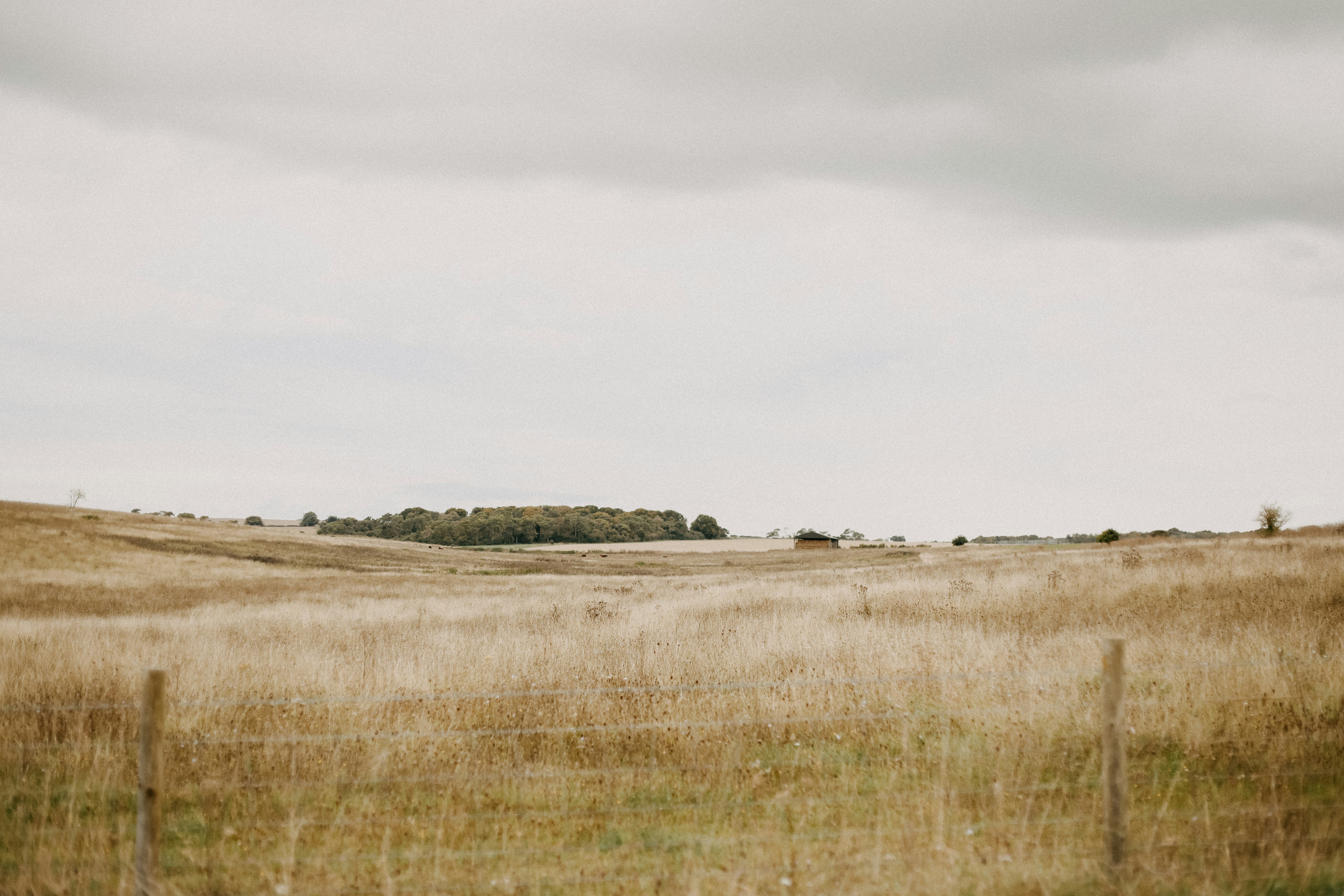 Photo by anniespratt