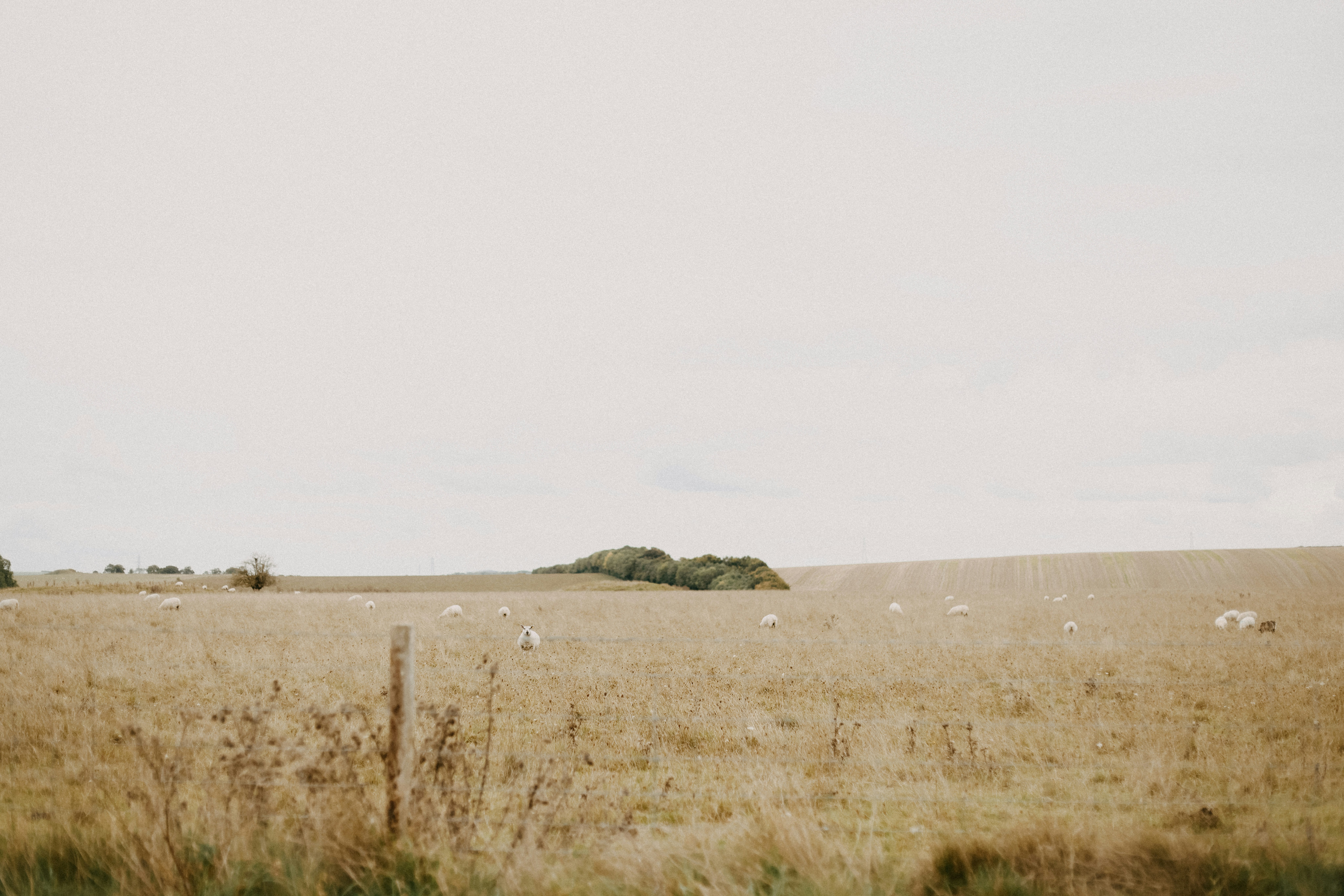 Photo by anniespratt