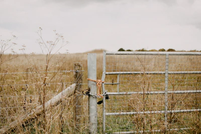 A gate in the middle of a field with tall grass