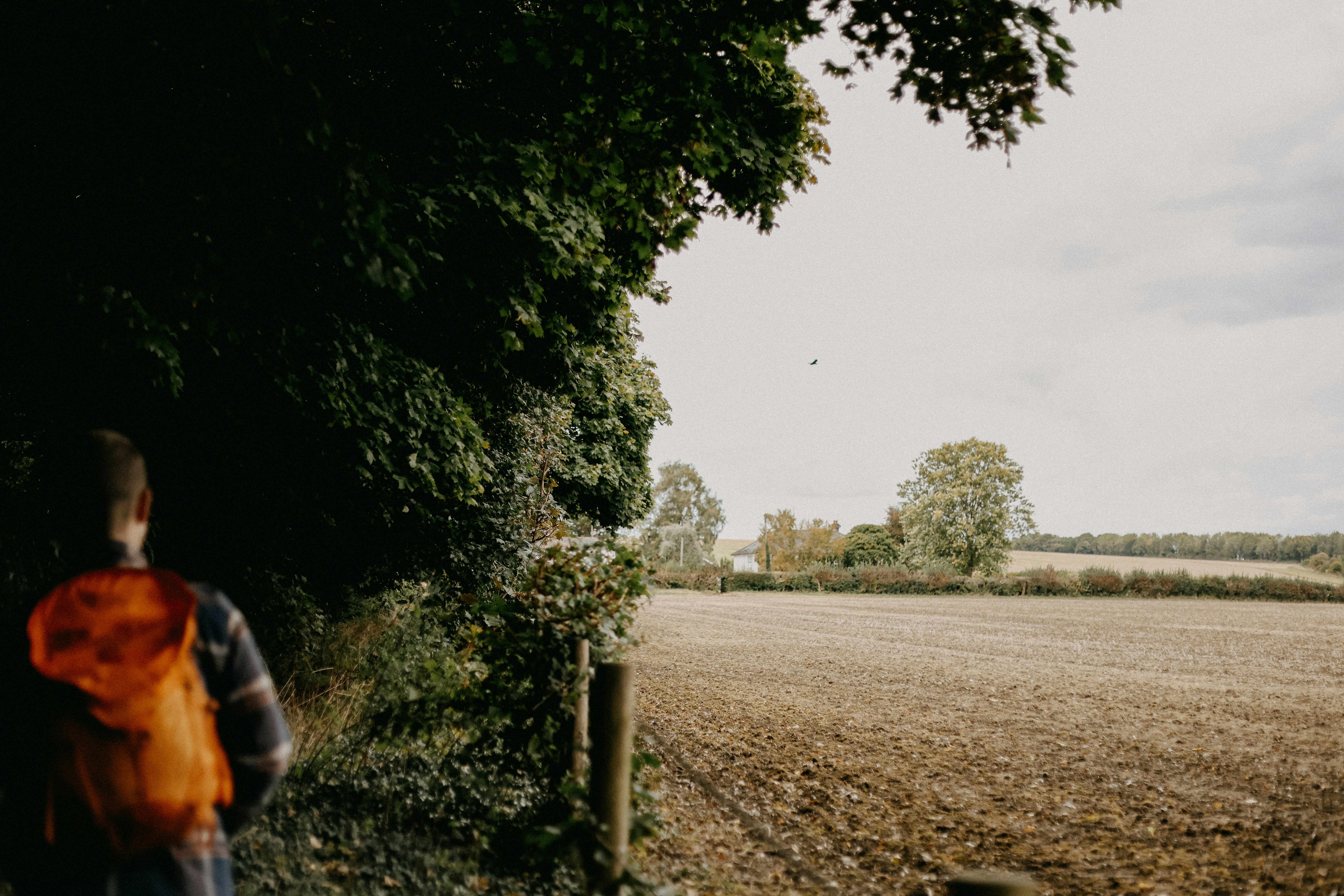 Photo by anniespratt