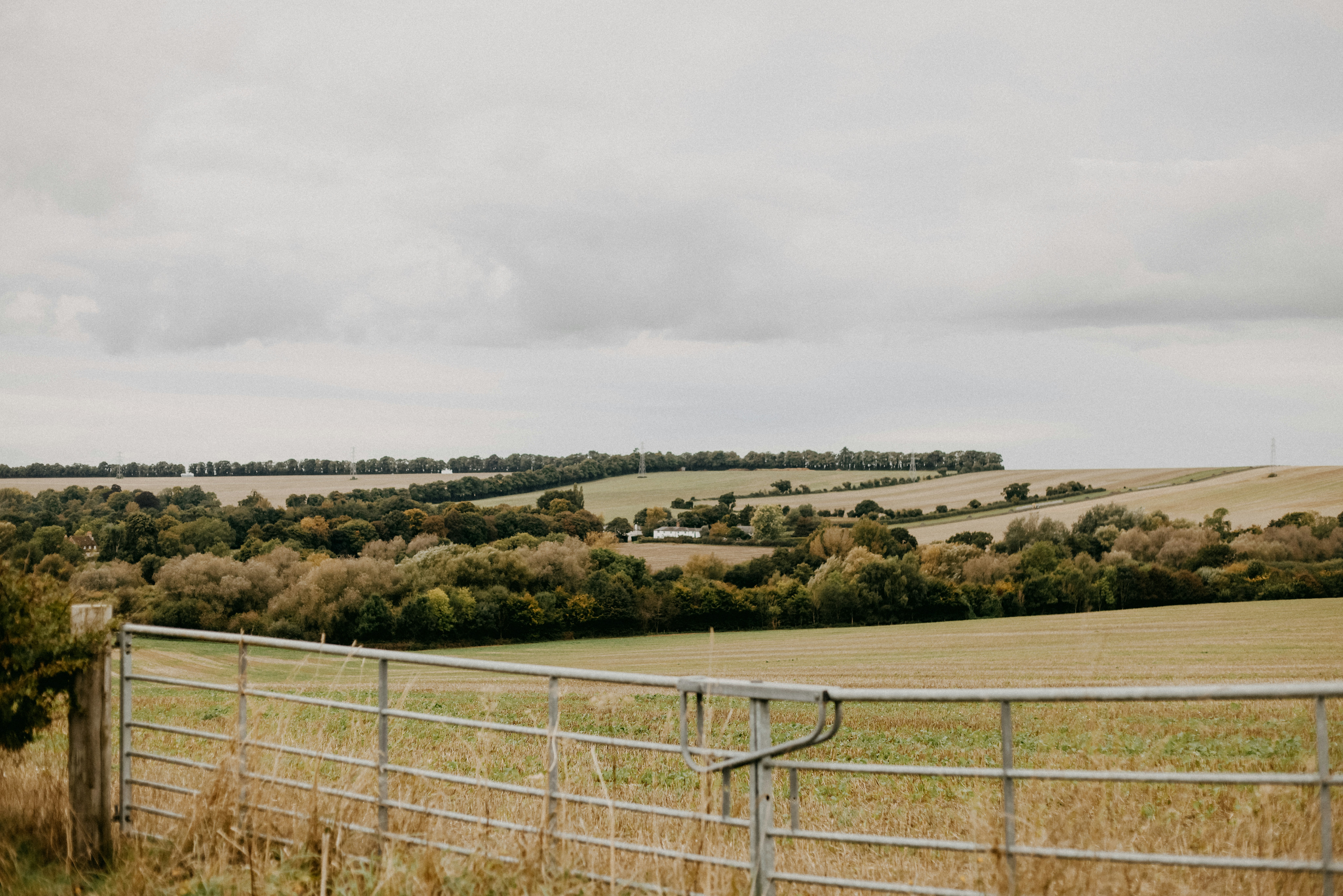 Photo by anniespratt