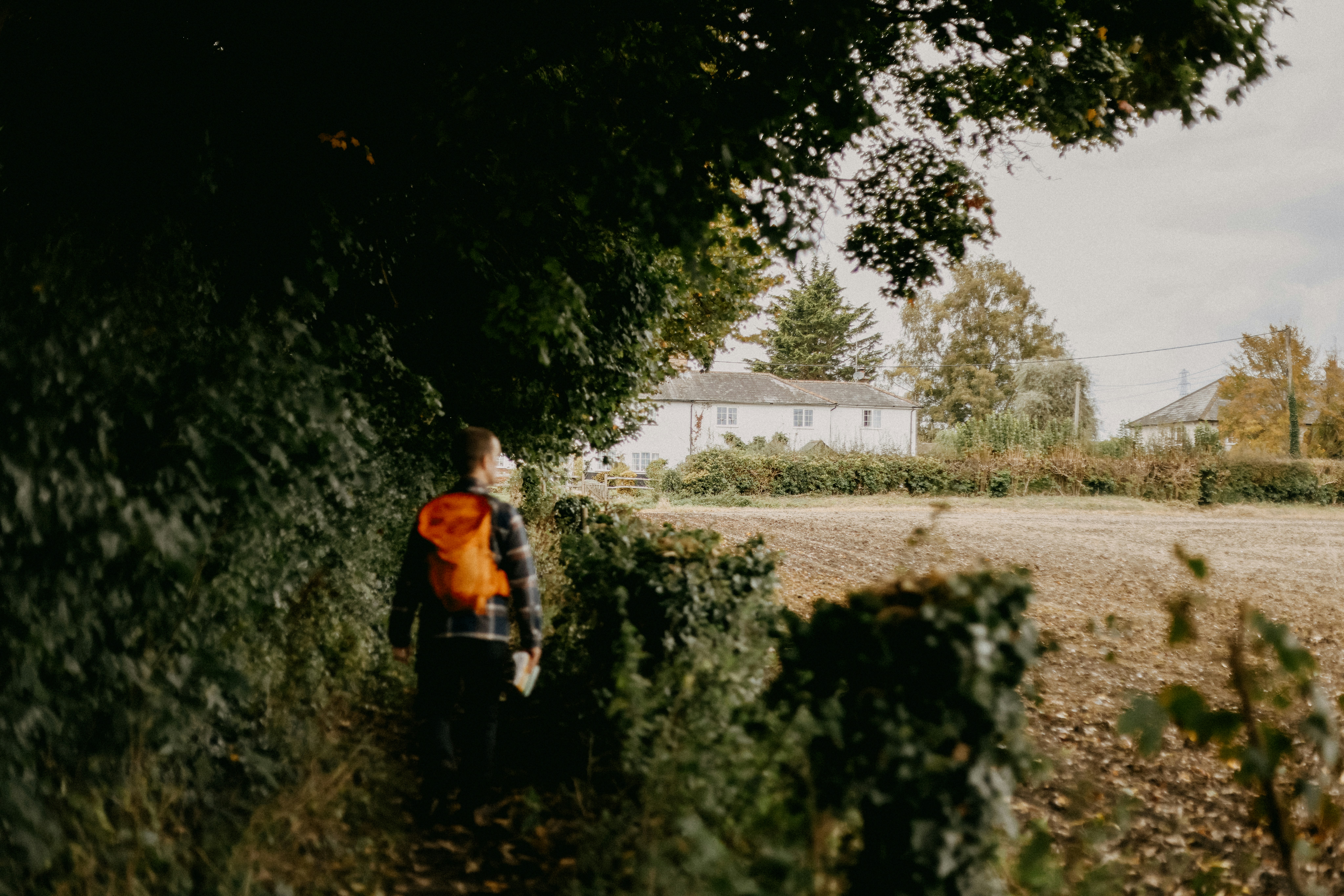 A person walking down a path next to a lush green field
