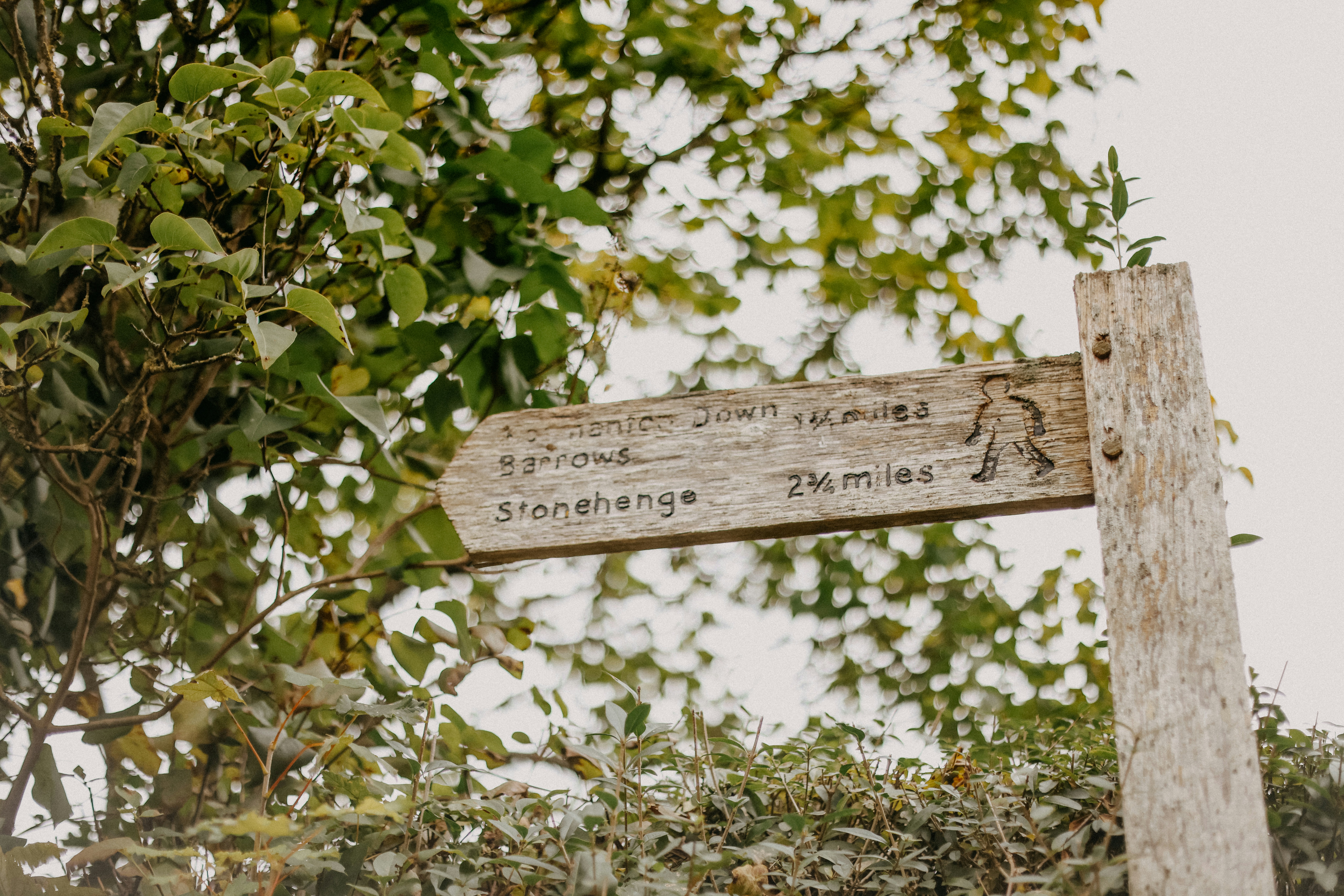 A wooden sign sitting on the side of a road