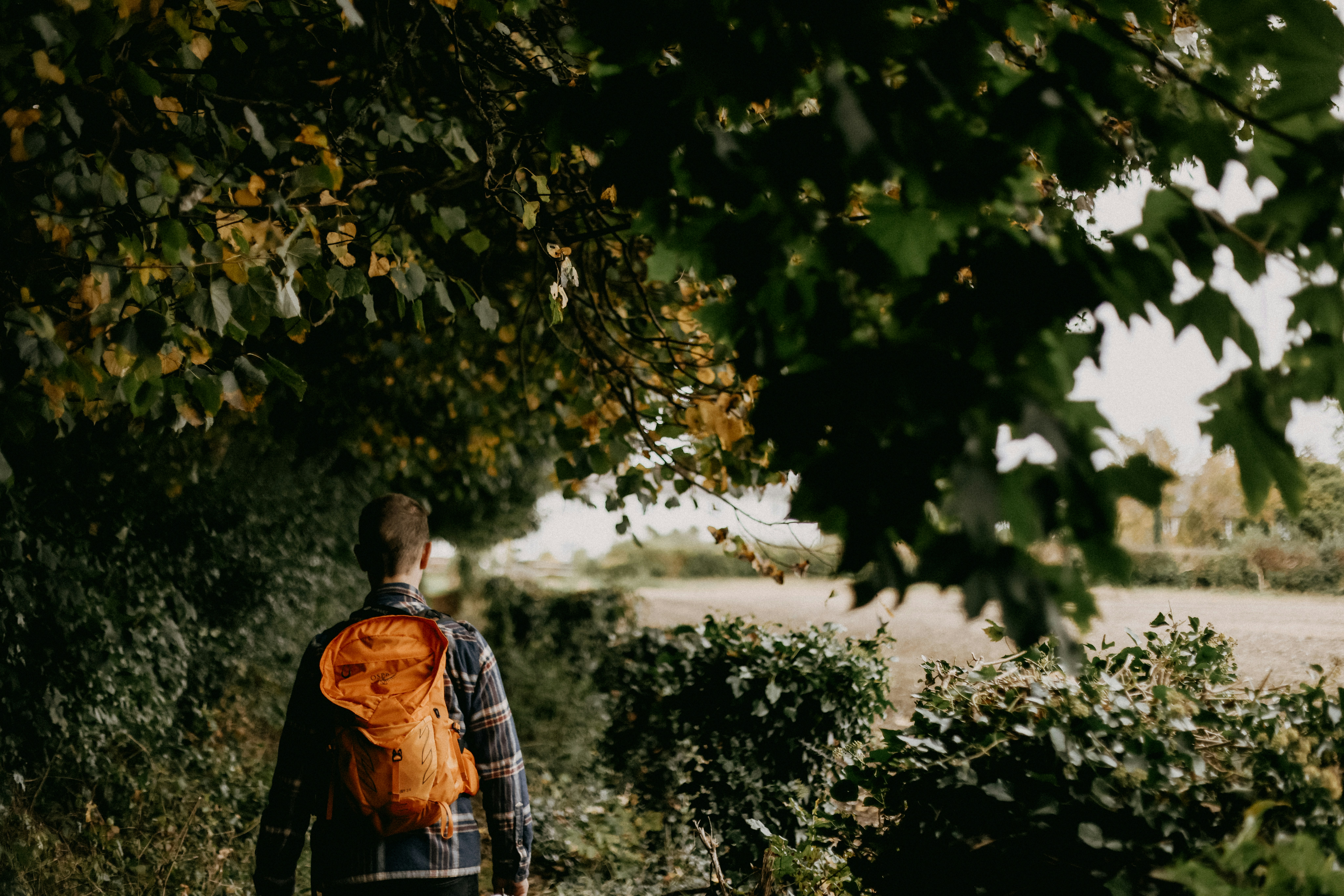 A man with a backpack walking down a path