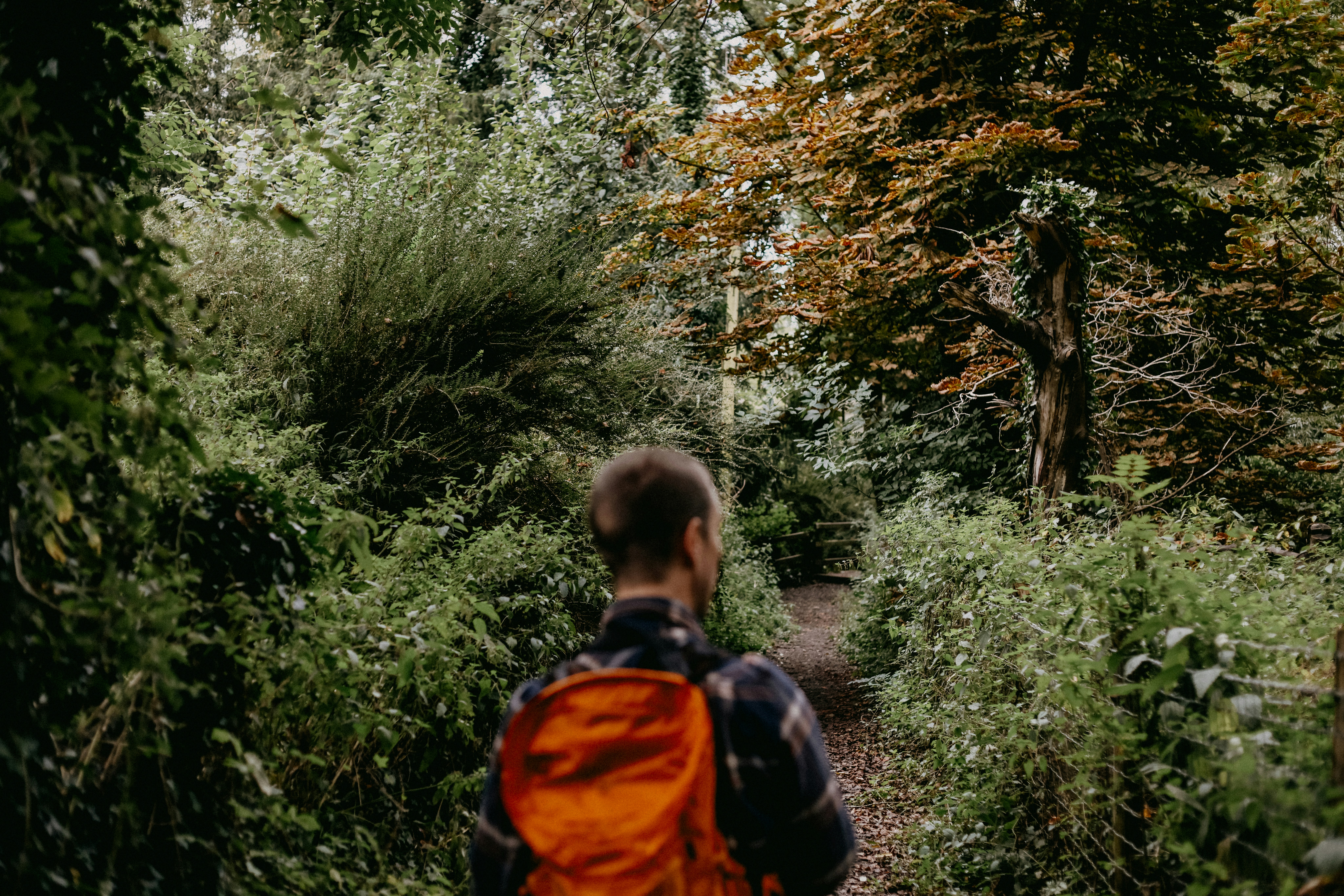 A man with a backpack walking through a forest