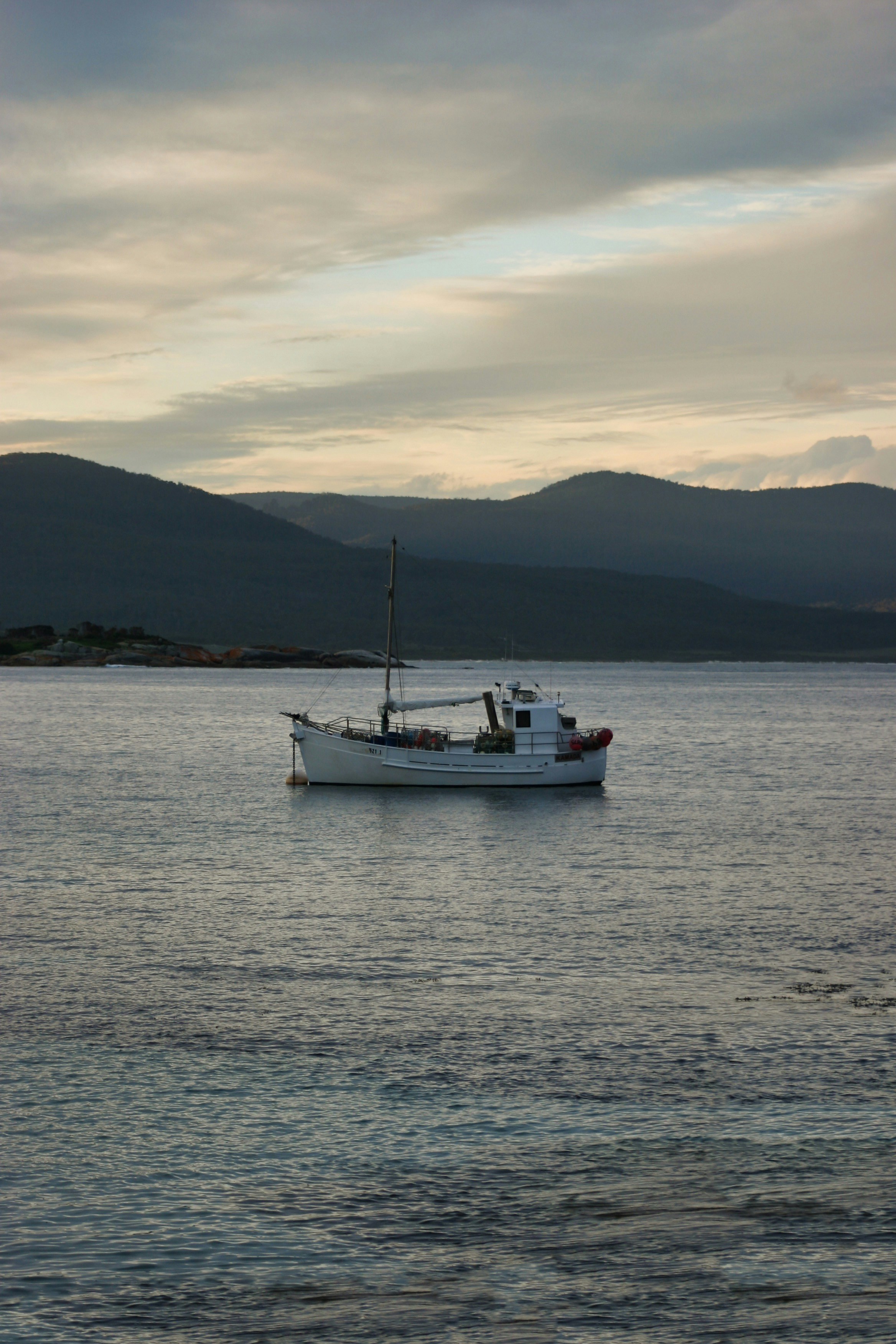 Photo by stevenvandeursen