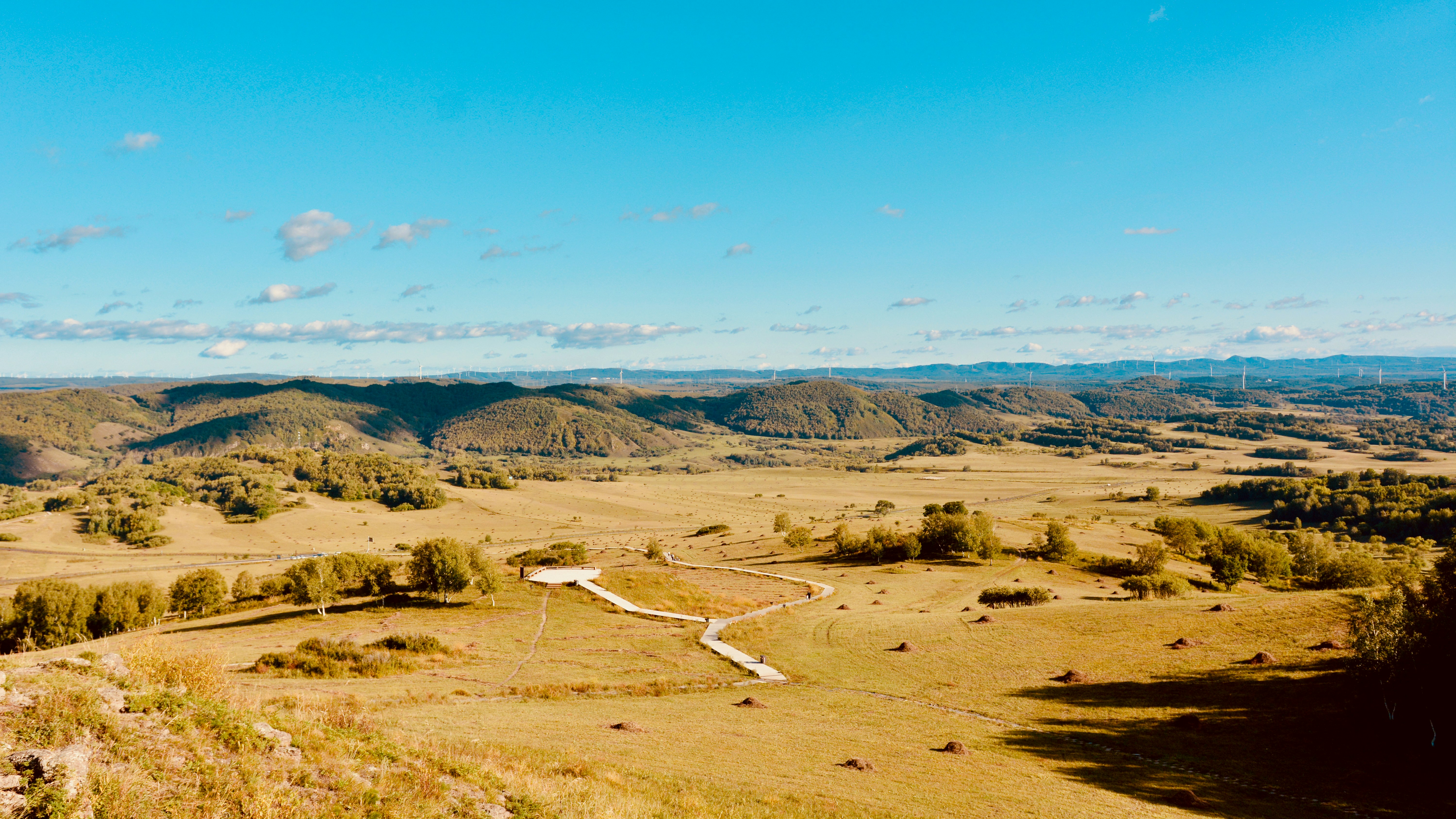 An aerial view of a field with a dirt road
