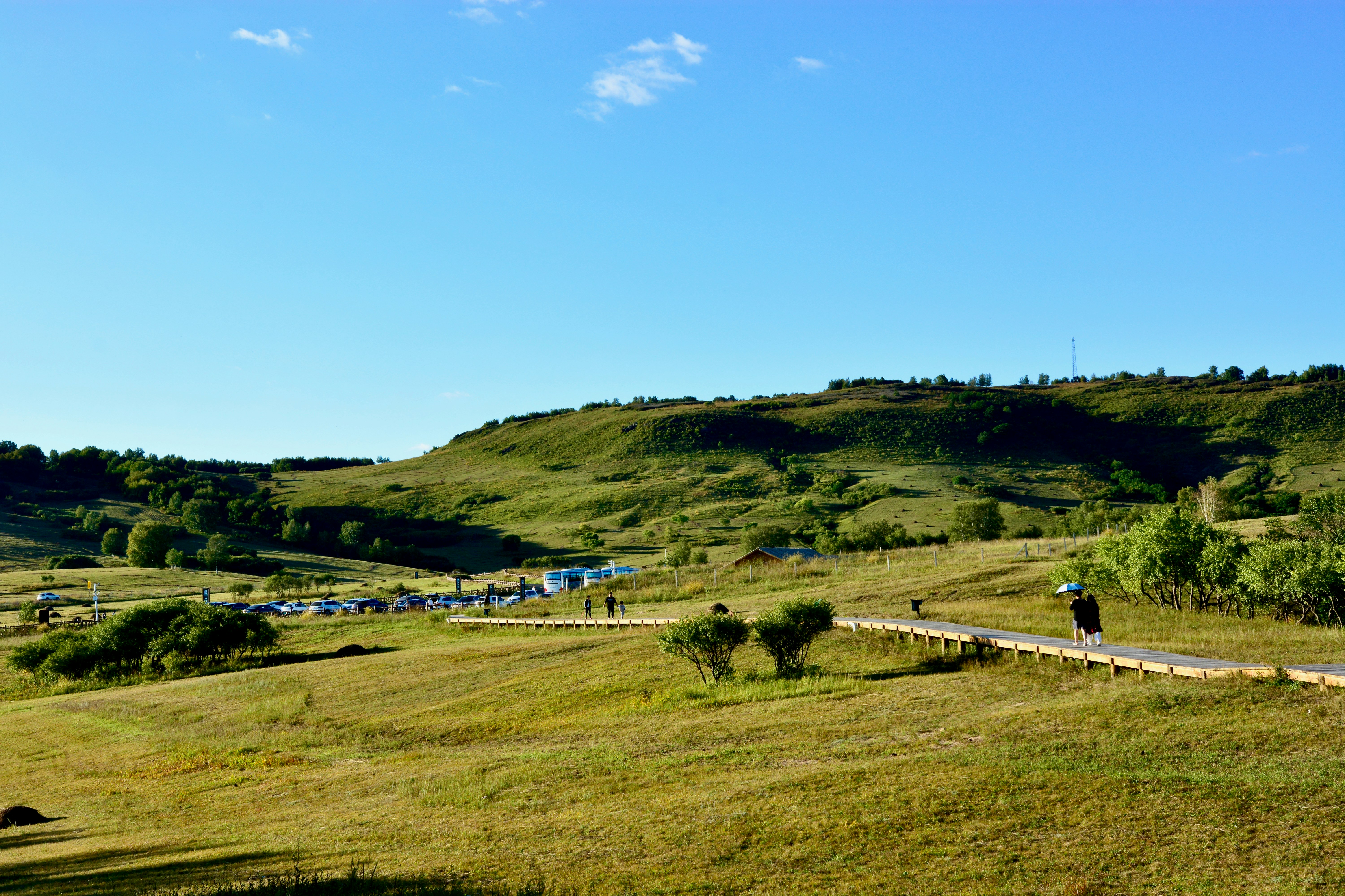 A view of a grassy hill with a road going through it