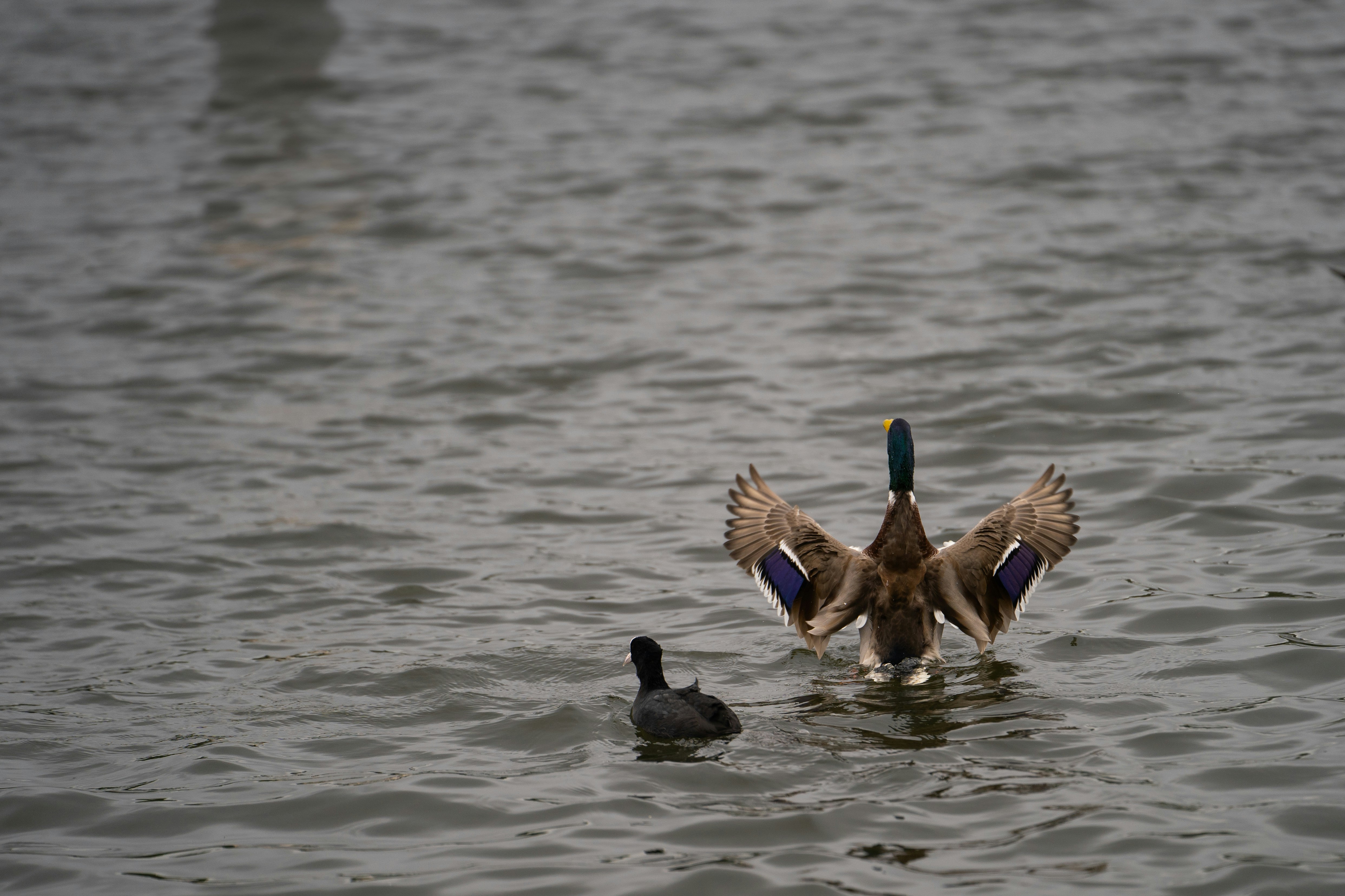 Photo by jakubklucky