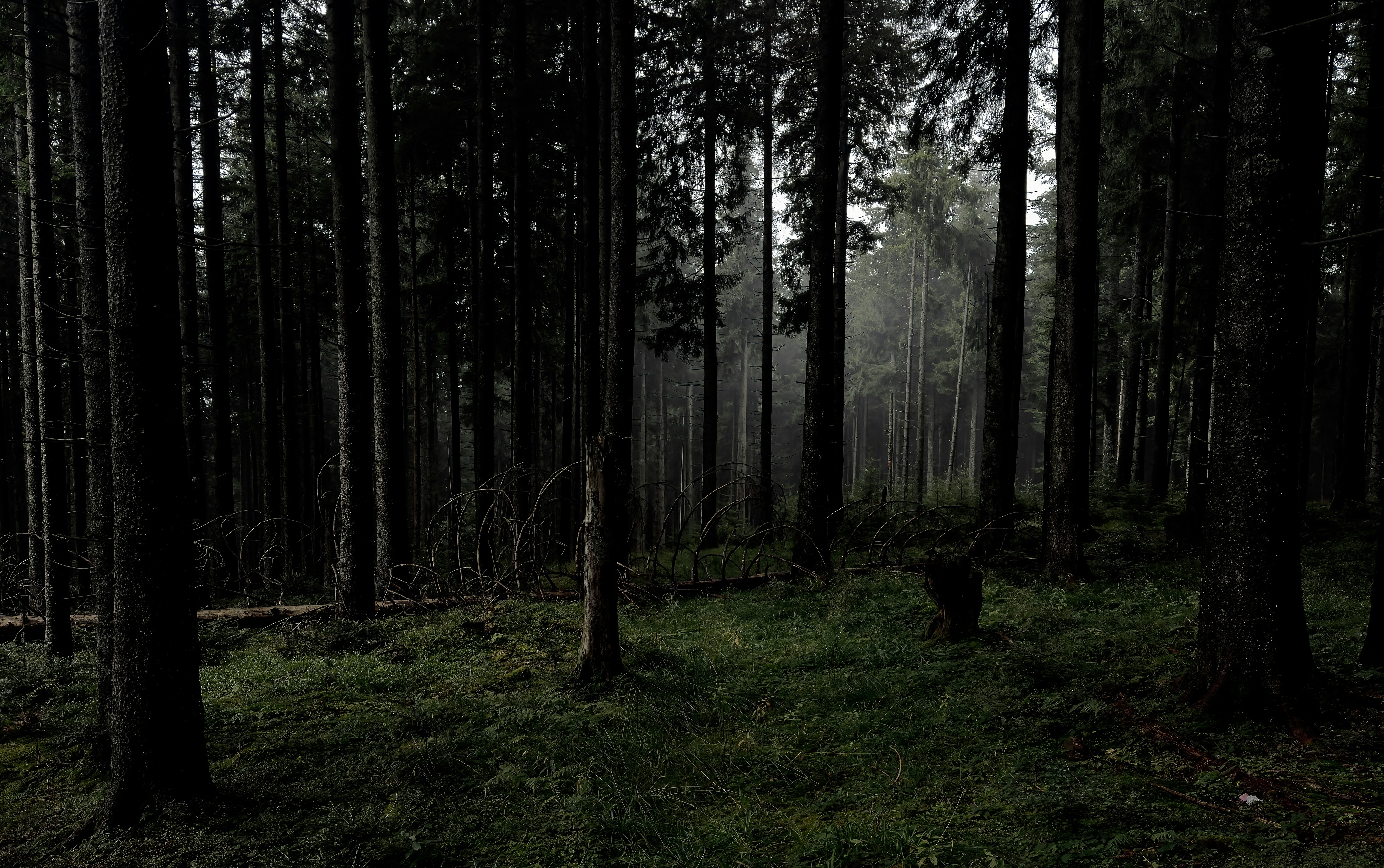 Photo by wsokolowskij