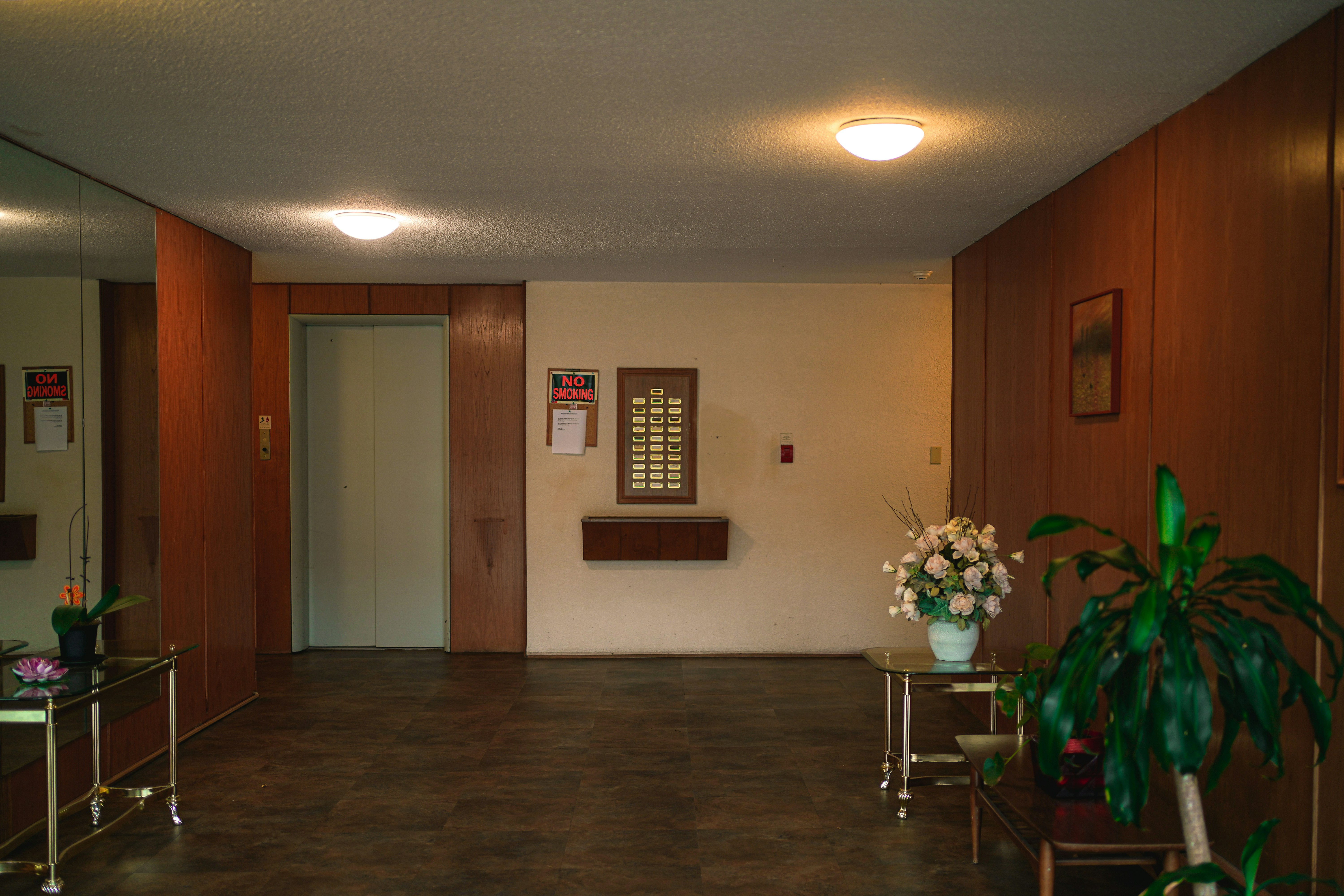 Room with chairs and plant