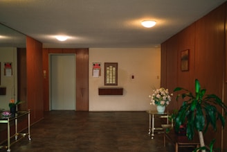 A room with a bunch of chairs and a potted plant