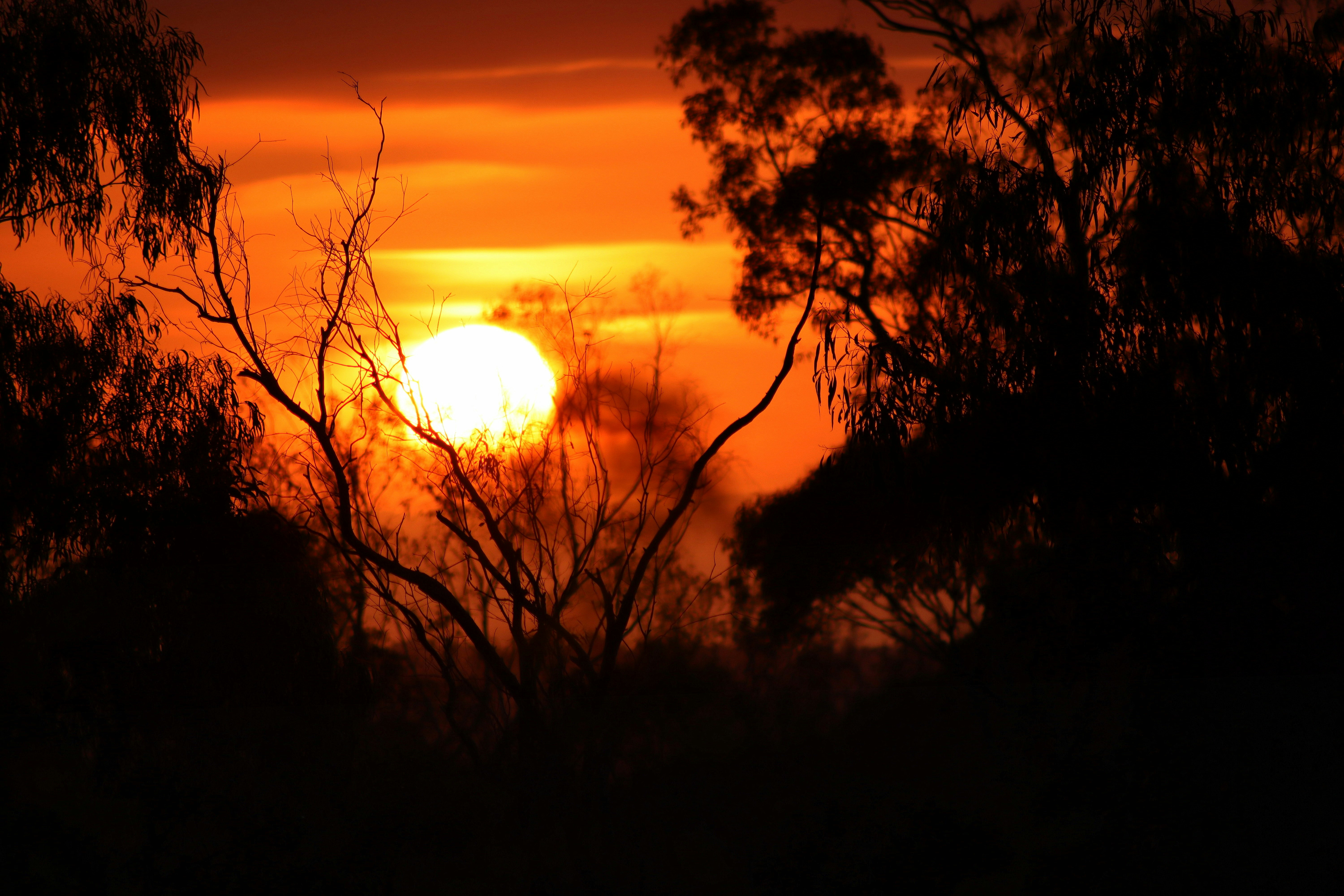 Photo by craigmanners_com