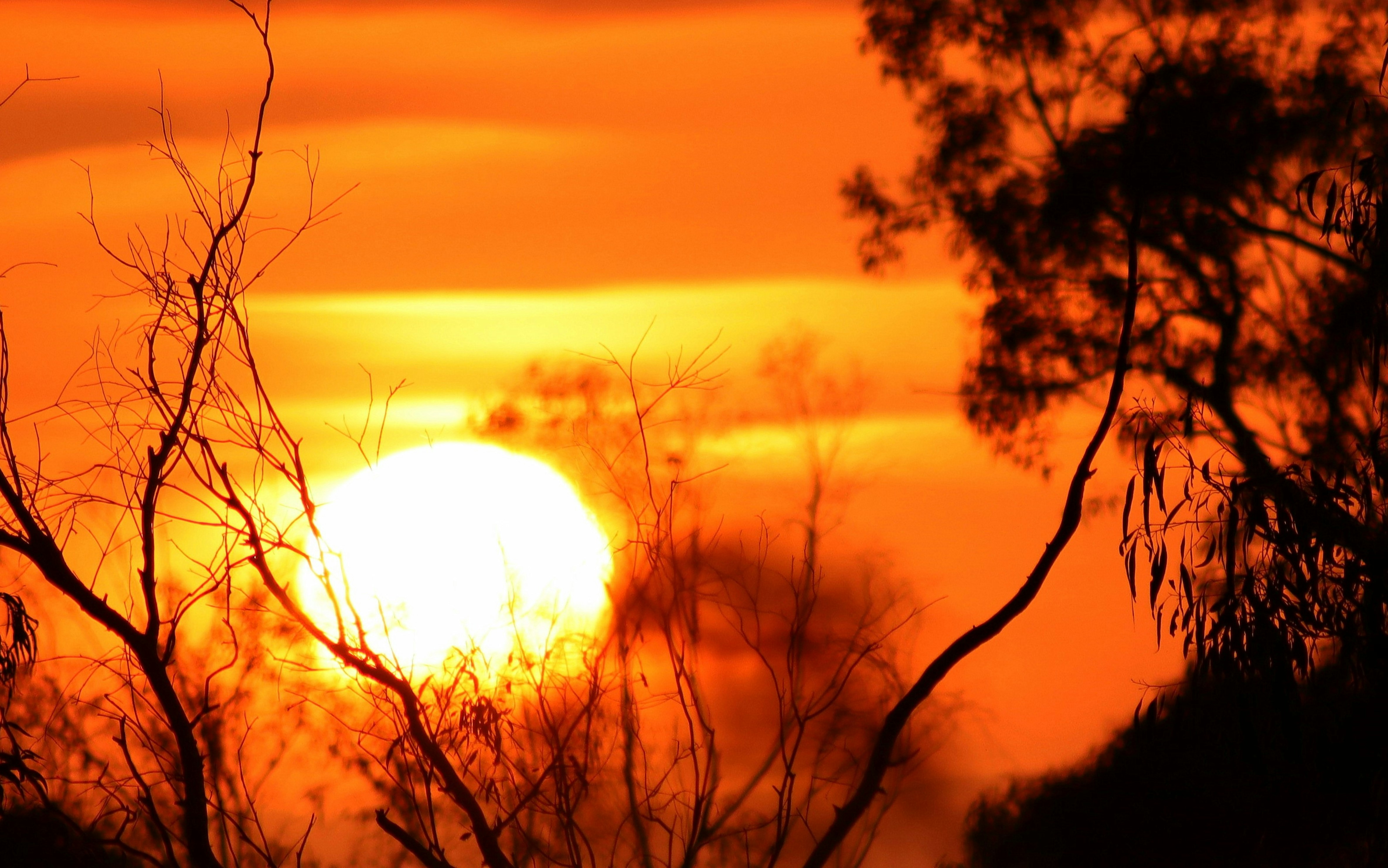 Photo by craigmanners_com