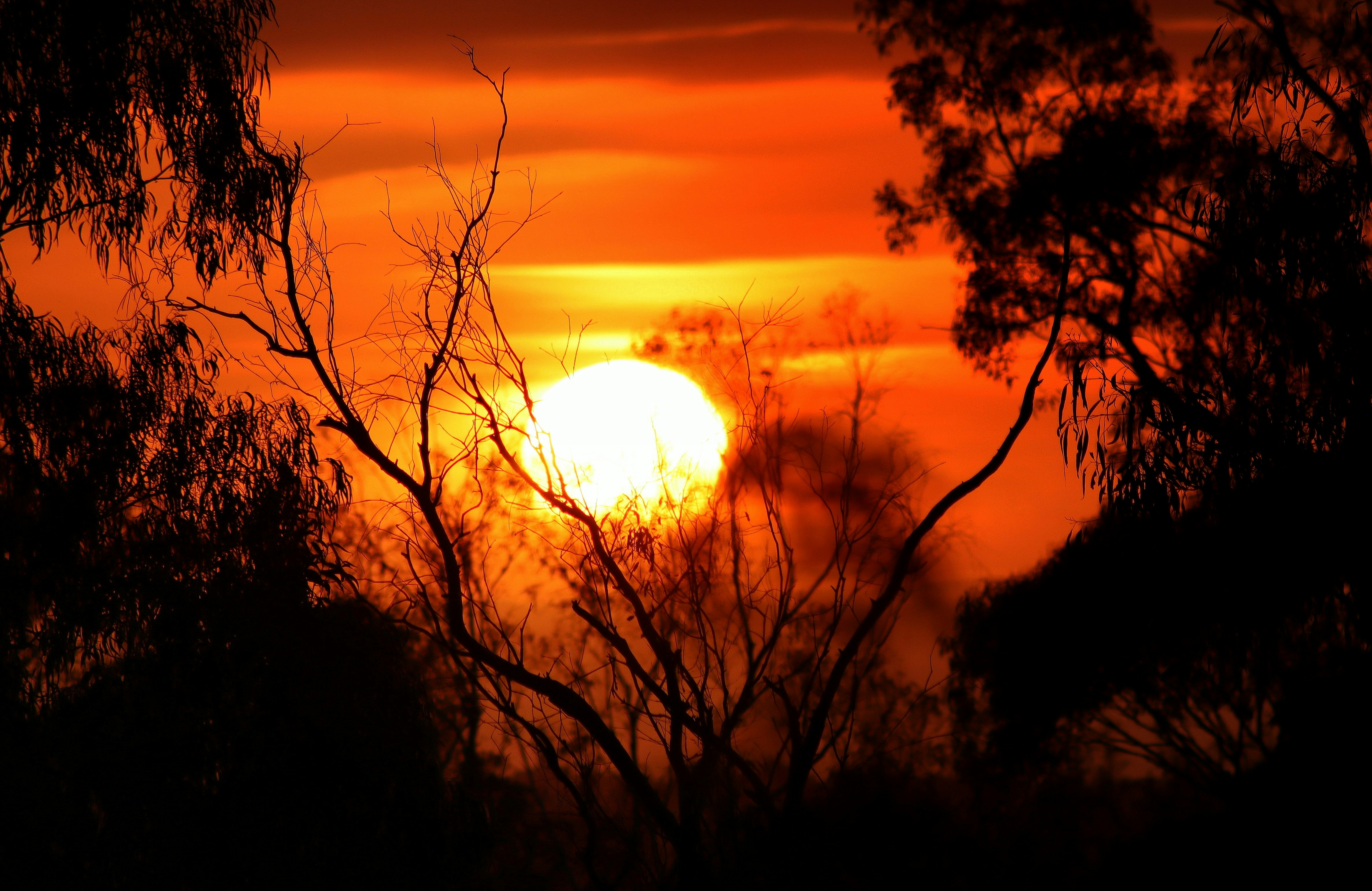 Photo by craigmanners_com