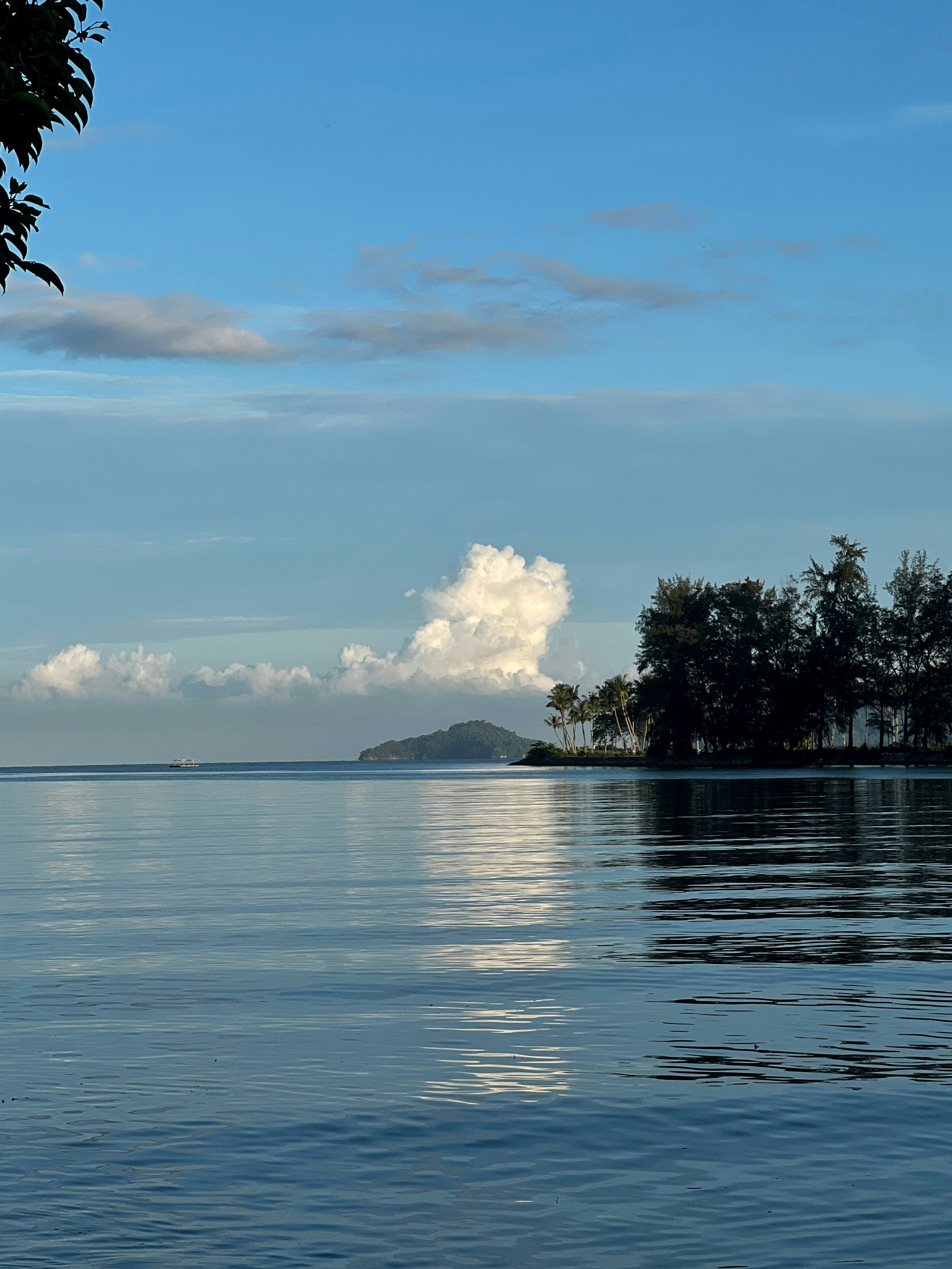 Lush tropical Caribbean island landscape with mountains reflecting in calm ocean water