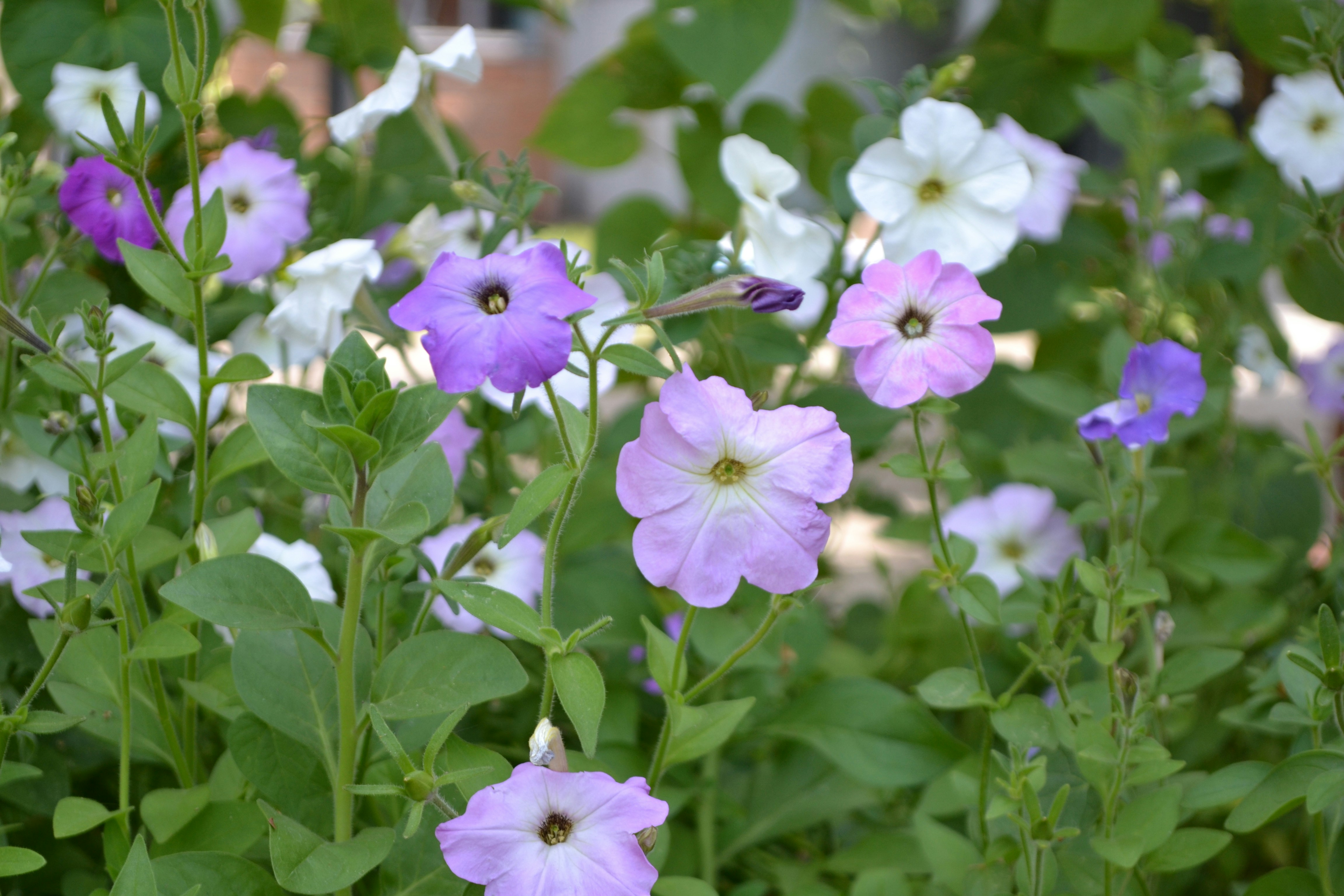 Photo by yuliiabarabash