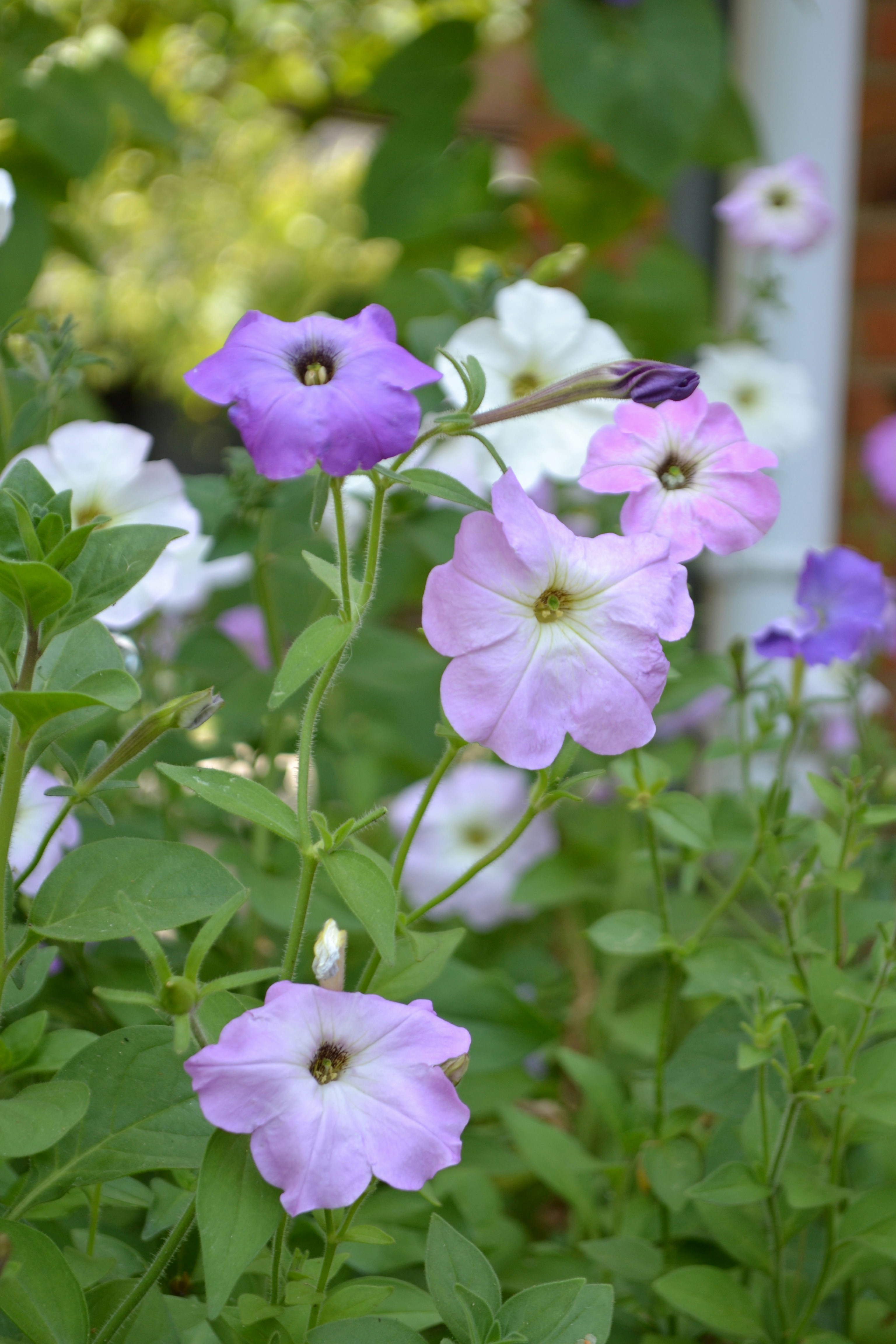 Photo by yuliiabarabash