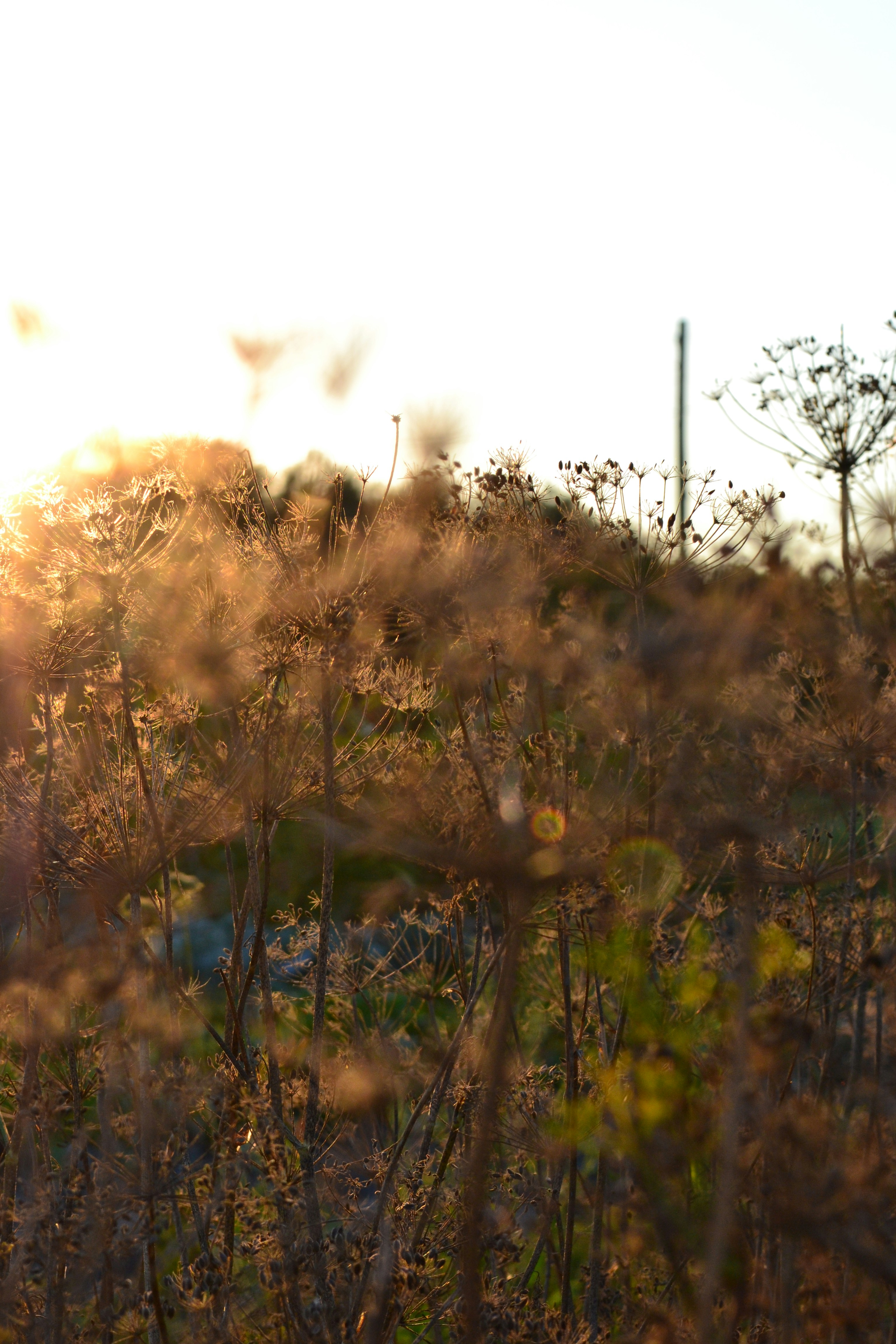 Photo by yuliiabarabash