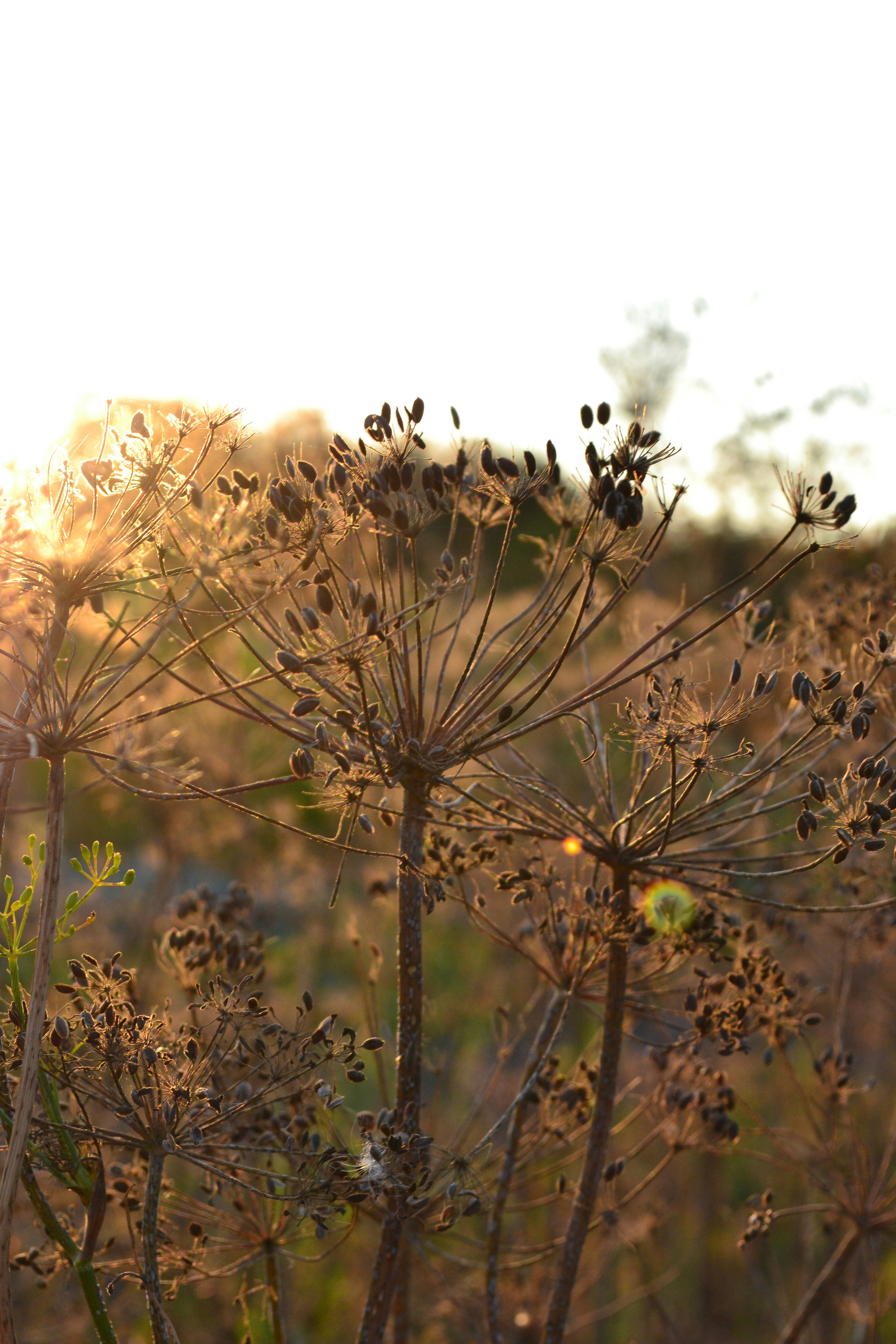 Photo by yuliiabarabash