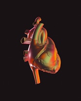 A computer generated image of a human heart