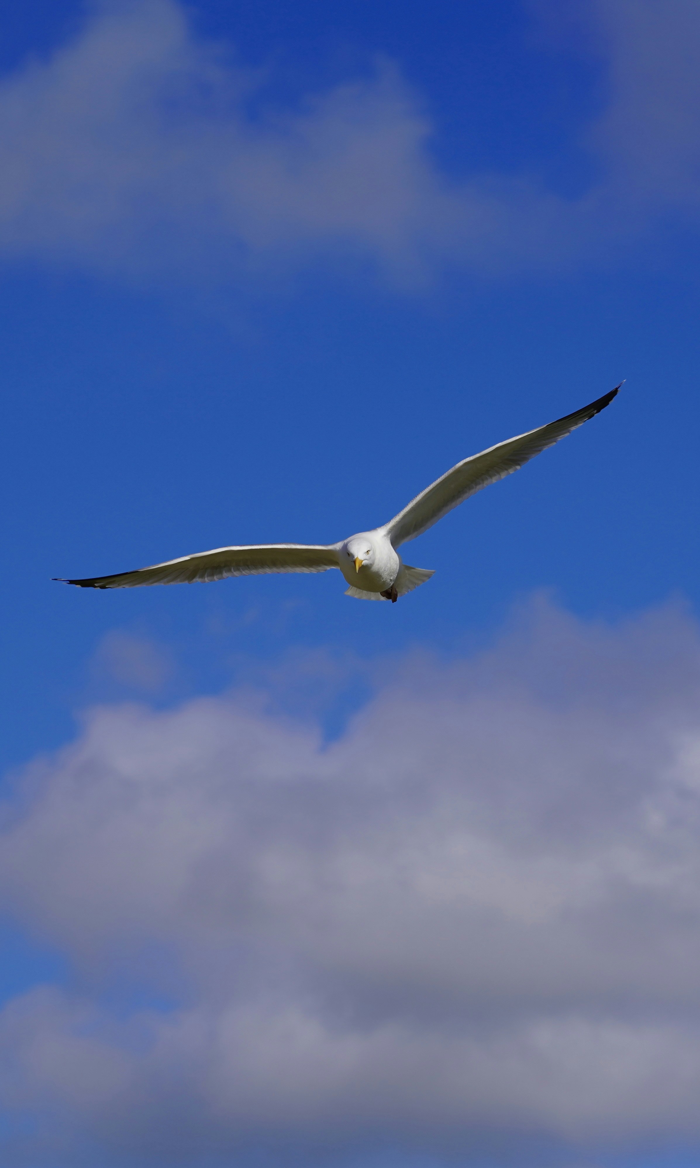 Photo by thom_reijnders