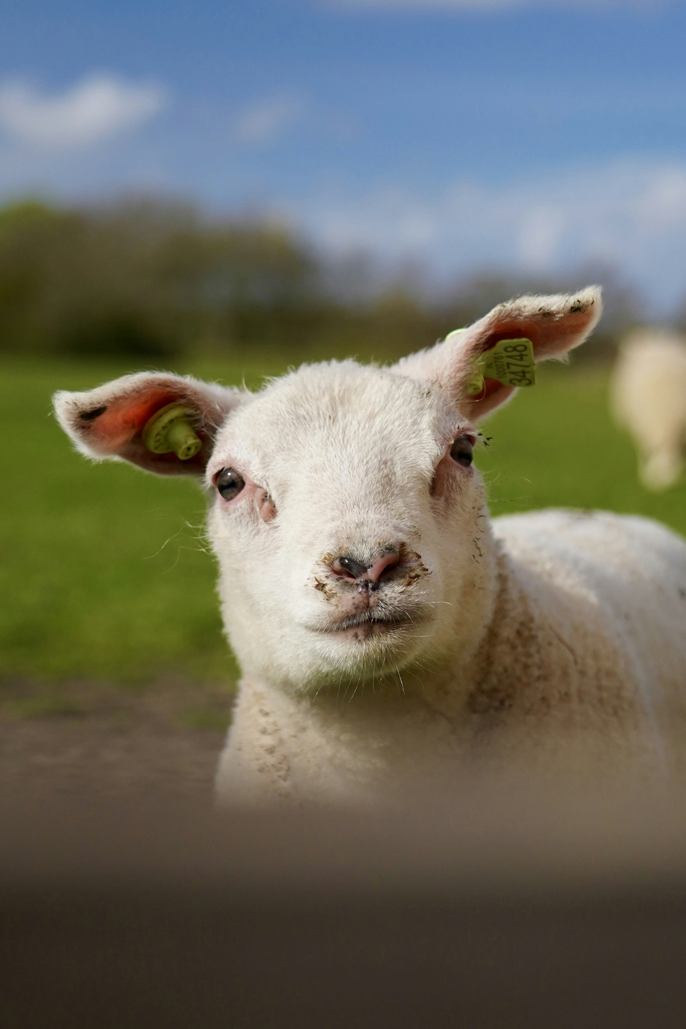 Photo by thom_reijnders