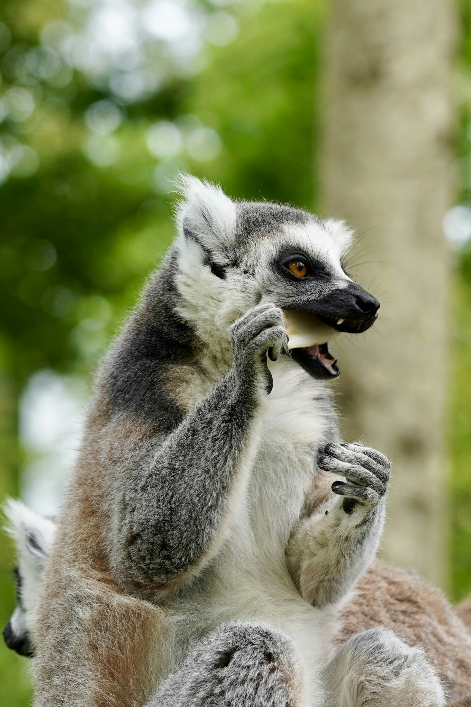 Photo by thom_reijnders