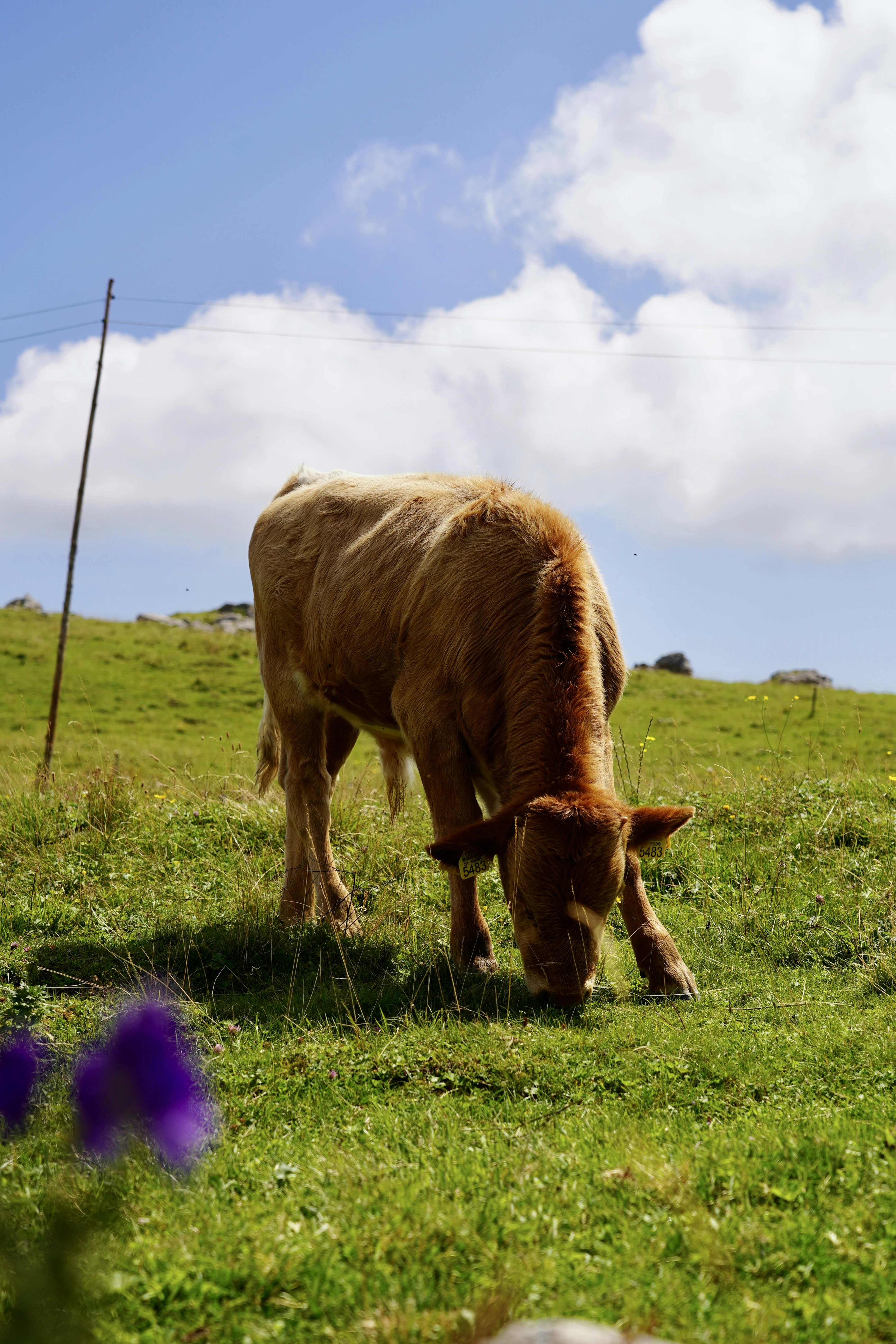 Photo by thom_reijnders