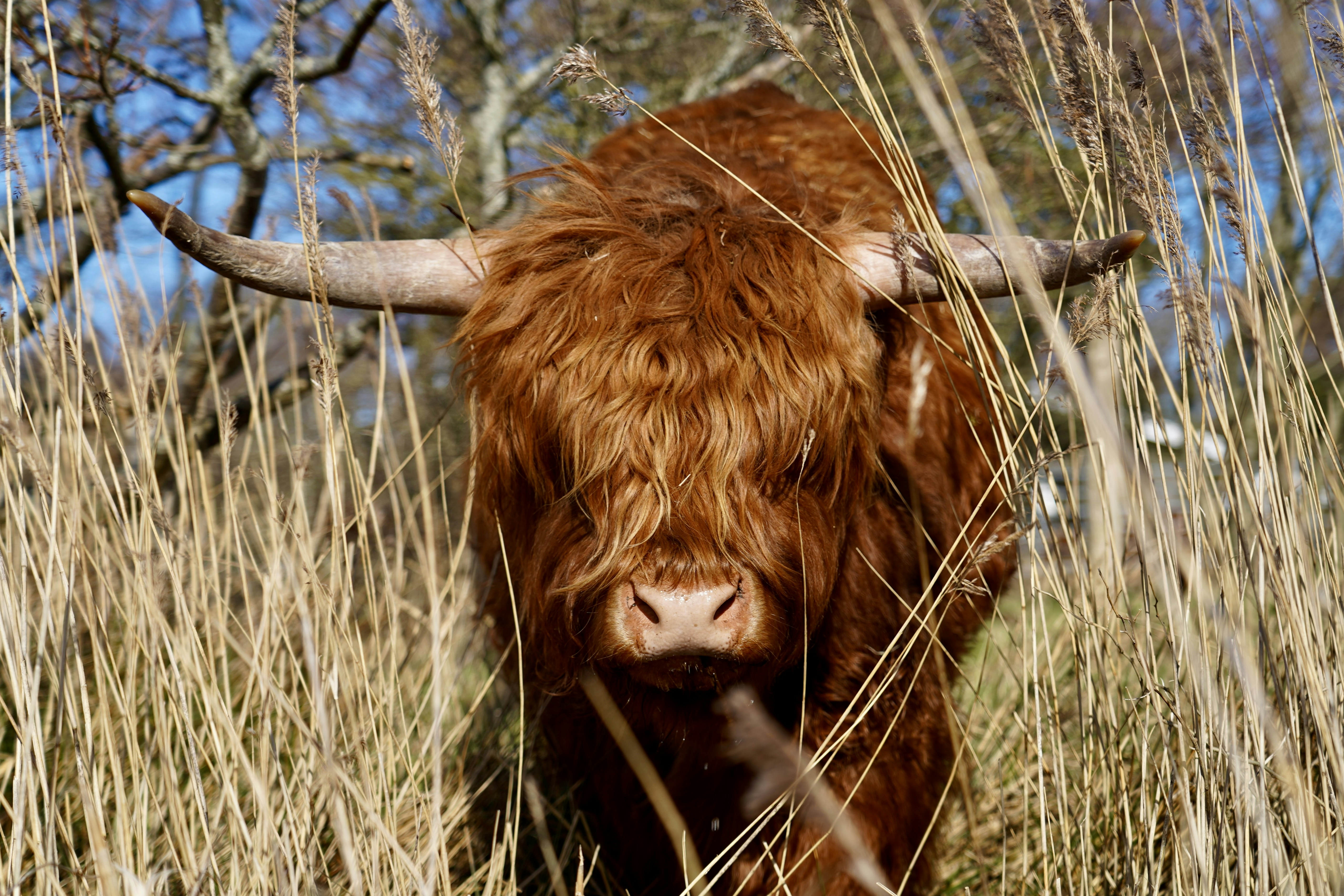 Photo by thom_reijnders