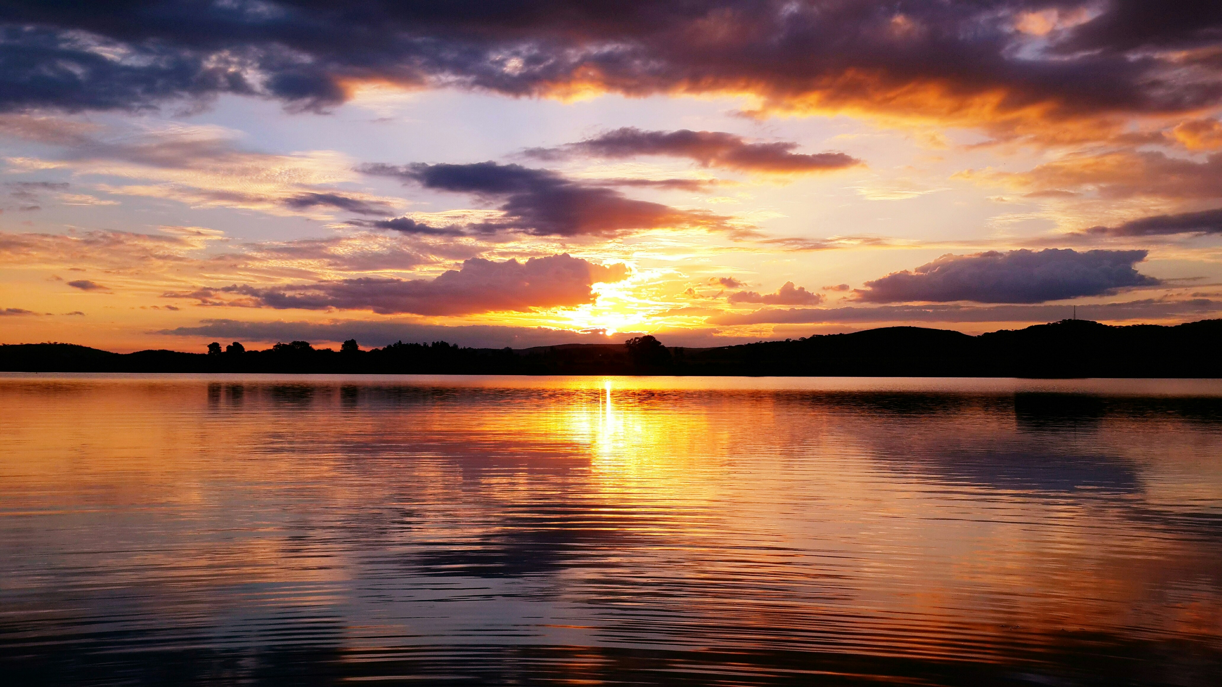 Photo by junglewebsites