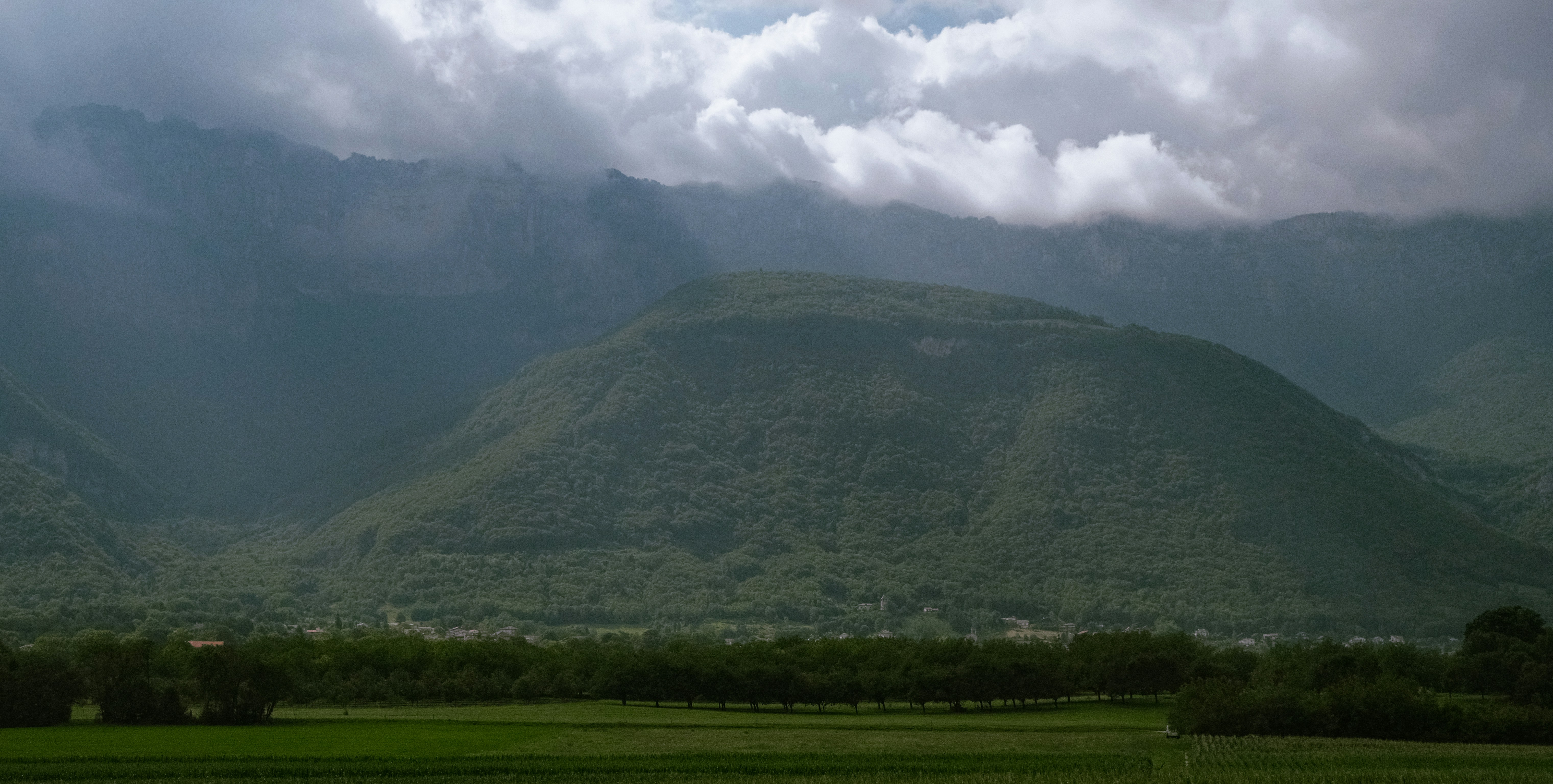 A field with a mountain in the background