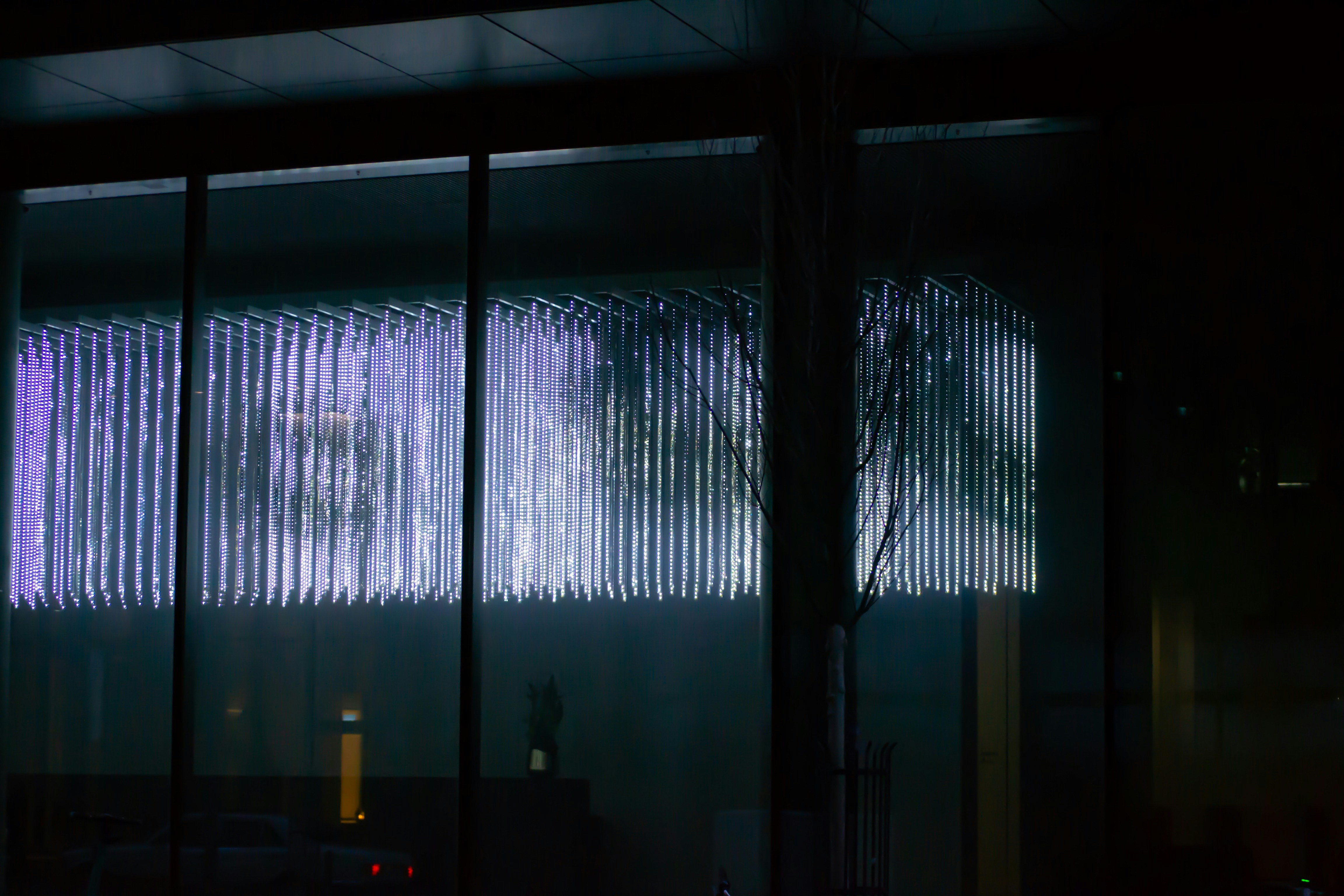 Photo by projectkeno