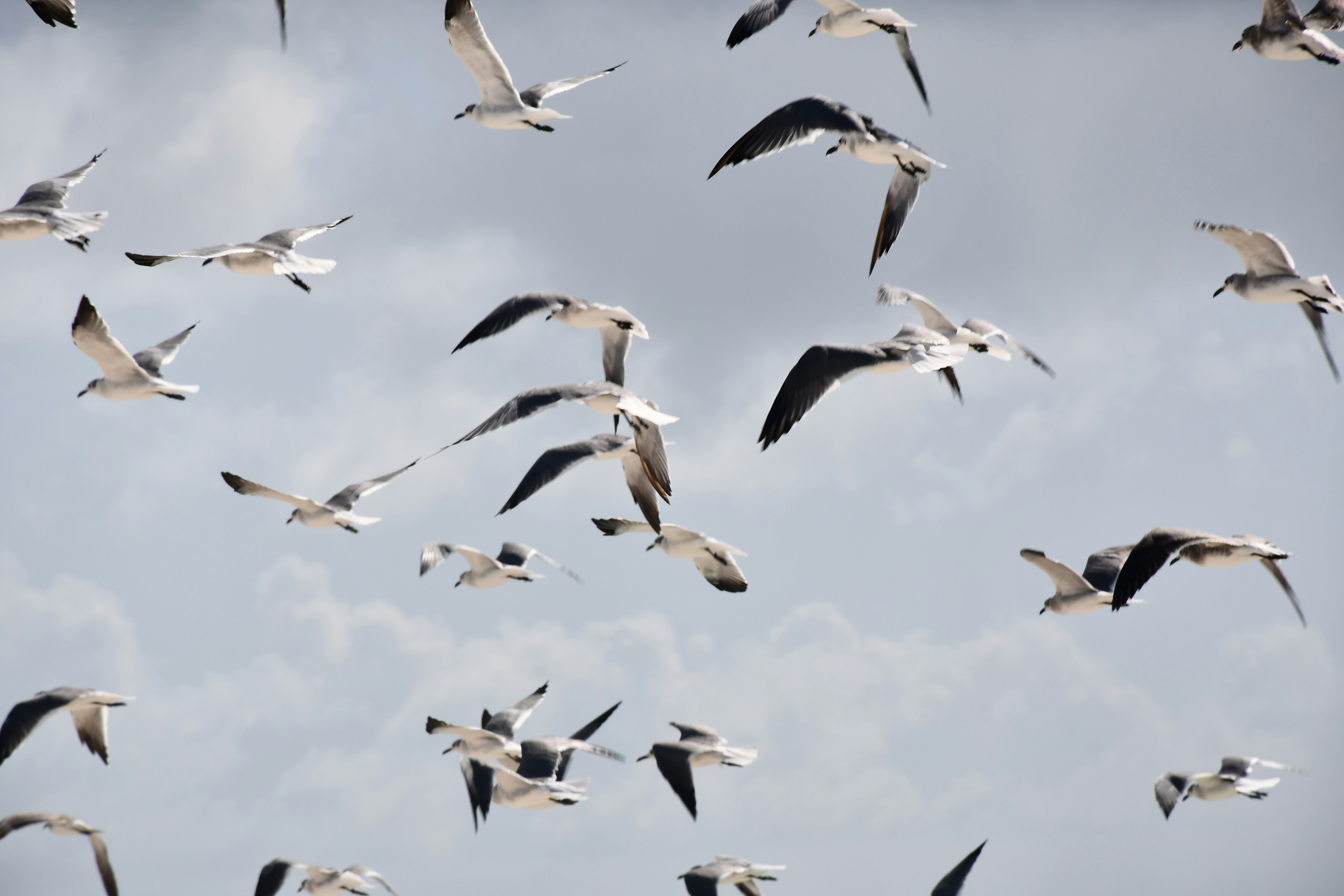 Photo by legallyguaricho