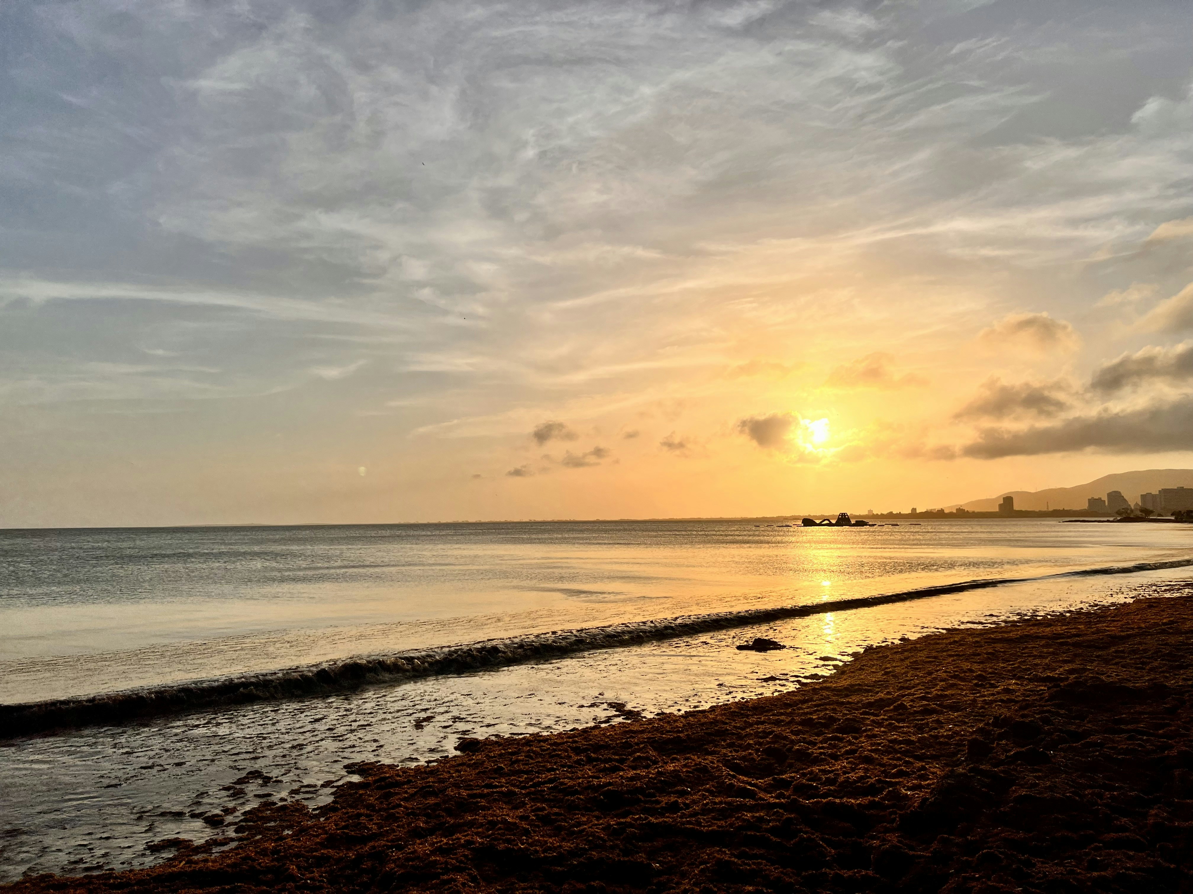 Photo by legallyguaricho