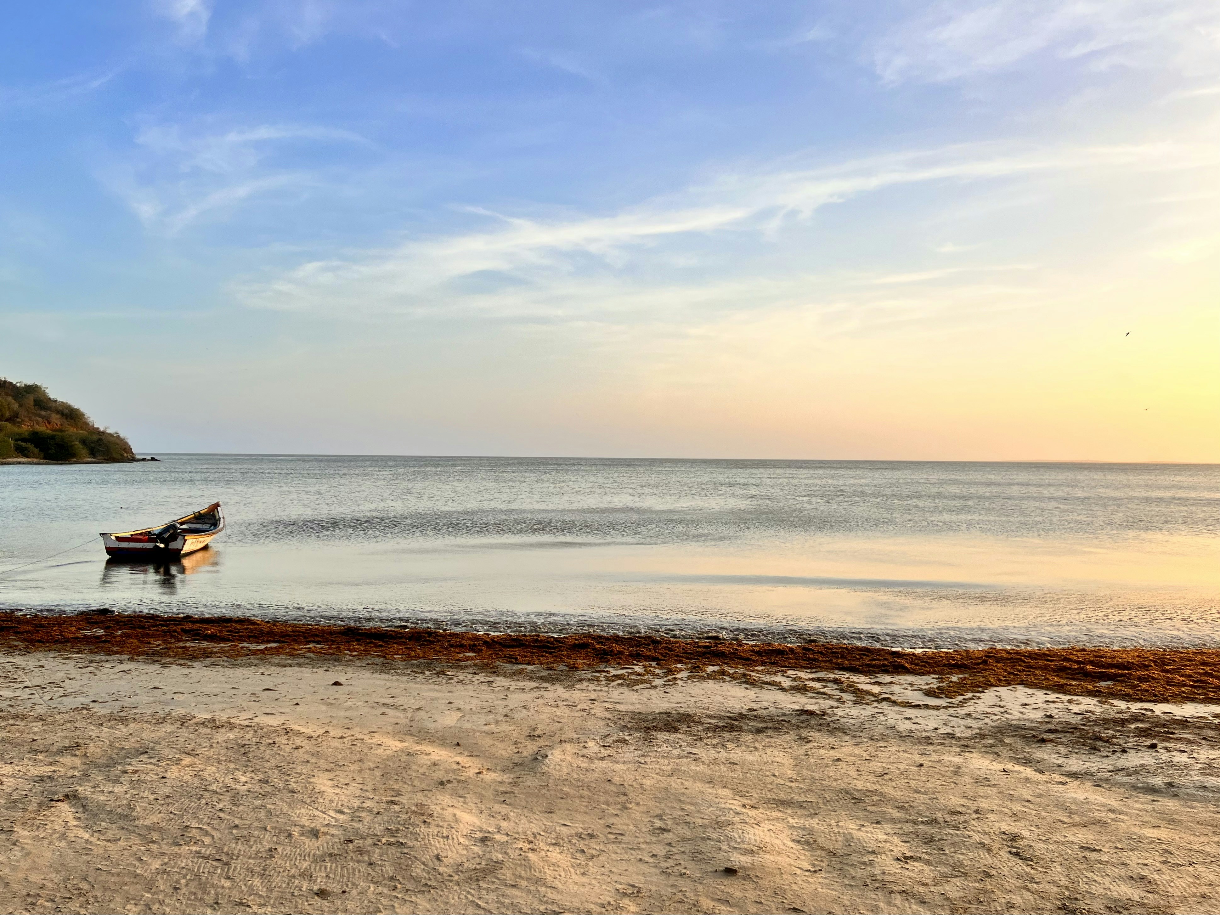 Photo by legallyguaricho