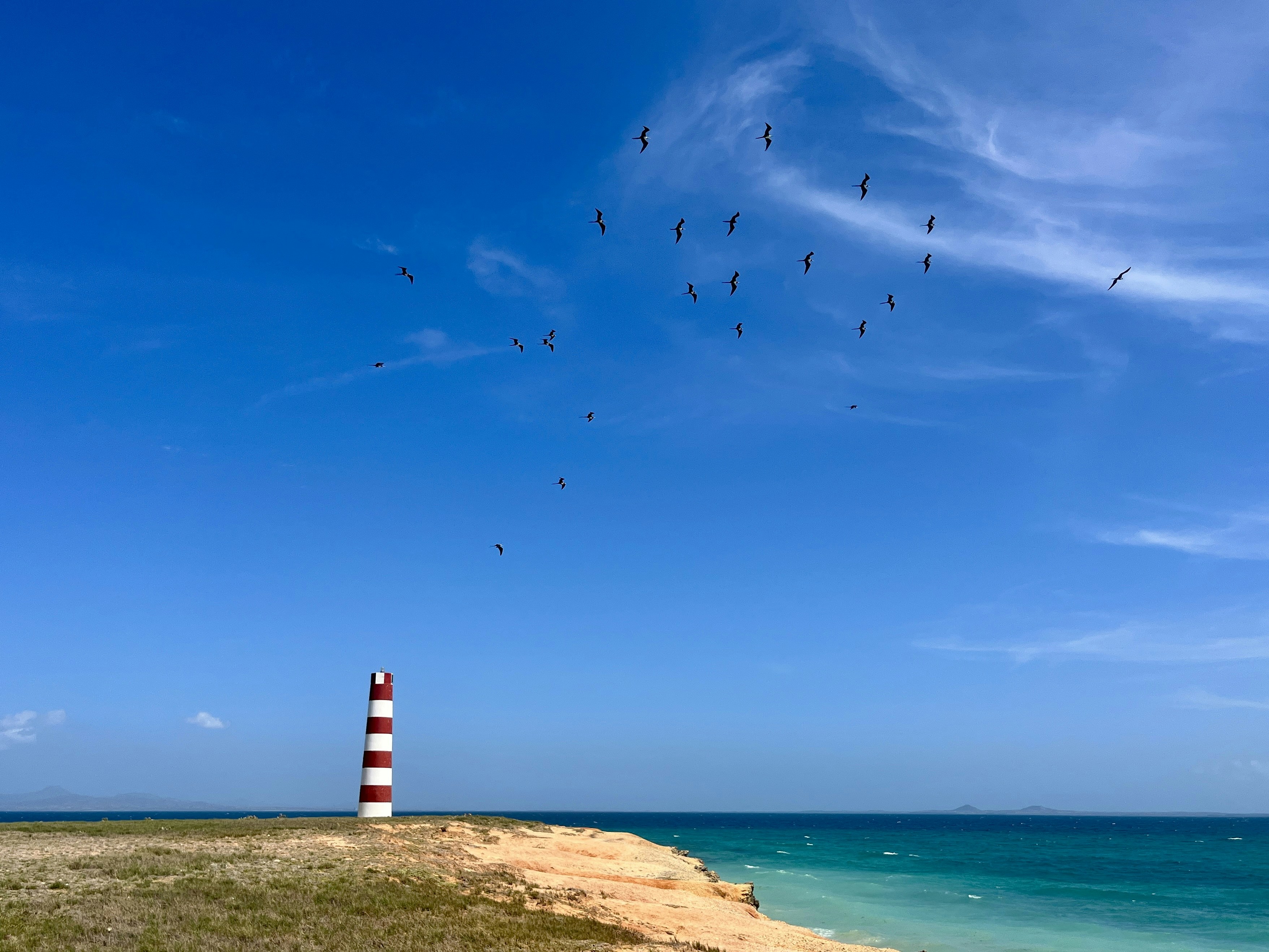 Photo by legallyguaricho