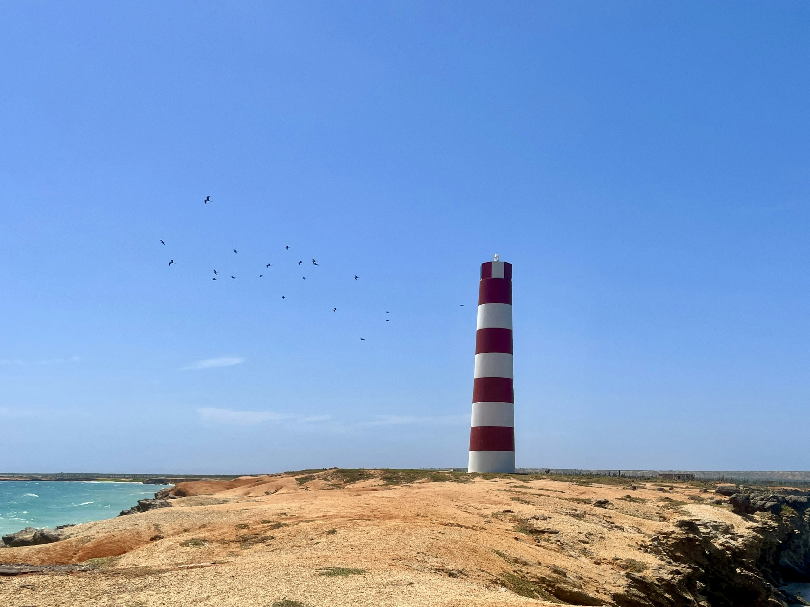 Photo by legallyguaricho