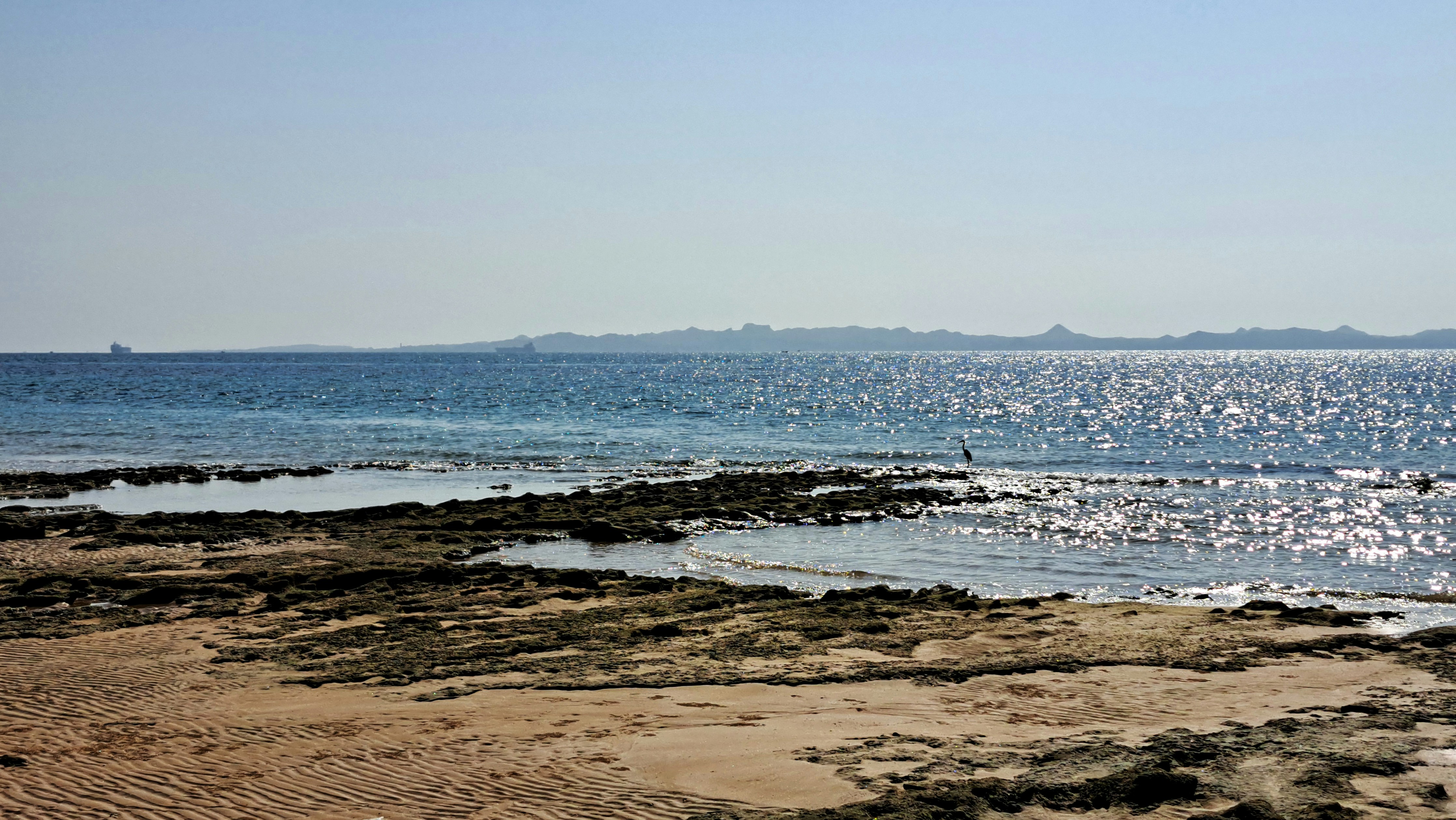 Photo by mahdikordi_ir