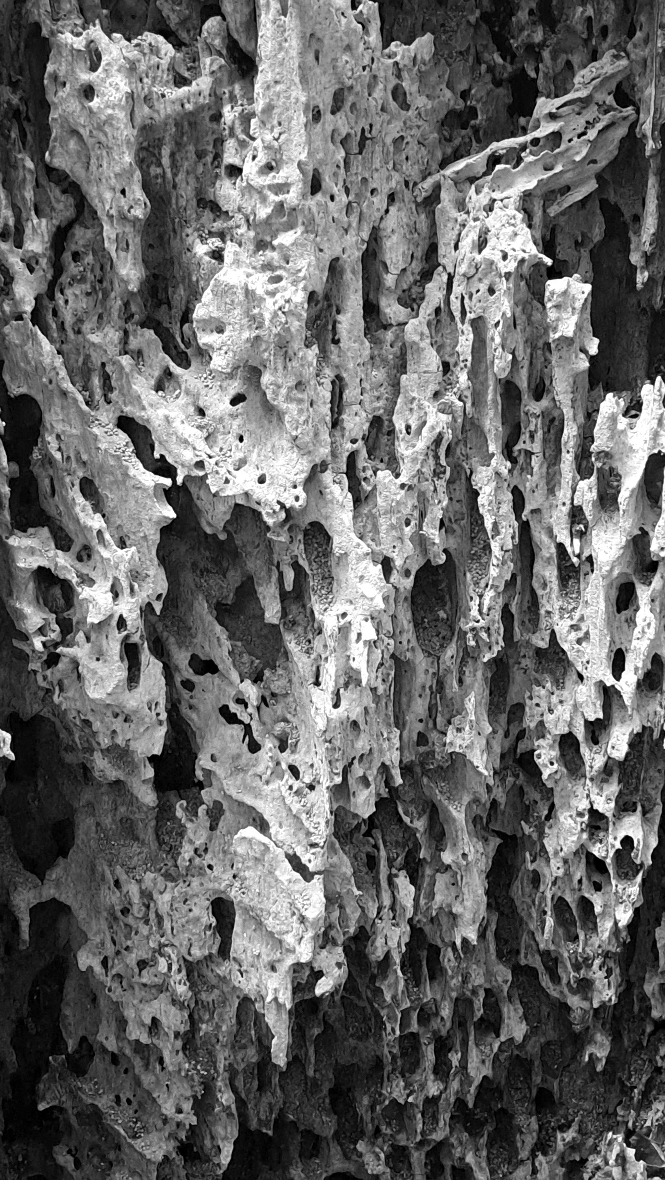 Photo by mahdikordi_ir