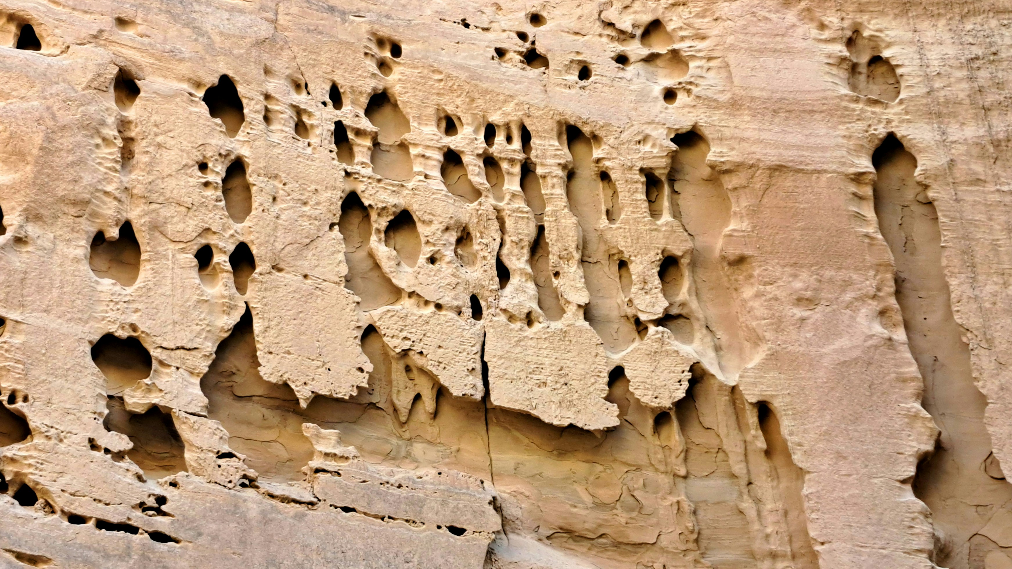 Photo by mahdikordi_ir