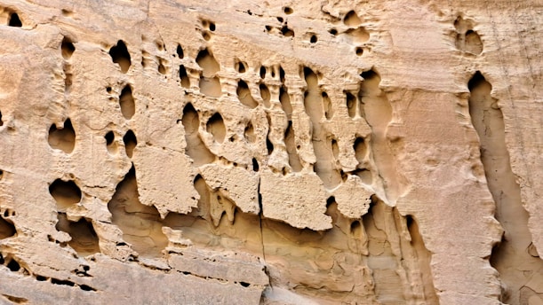 A rock wall with holes in the middle of it