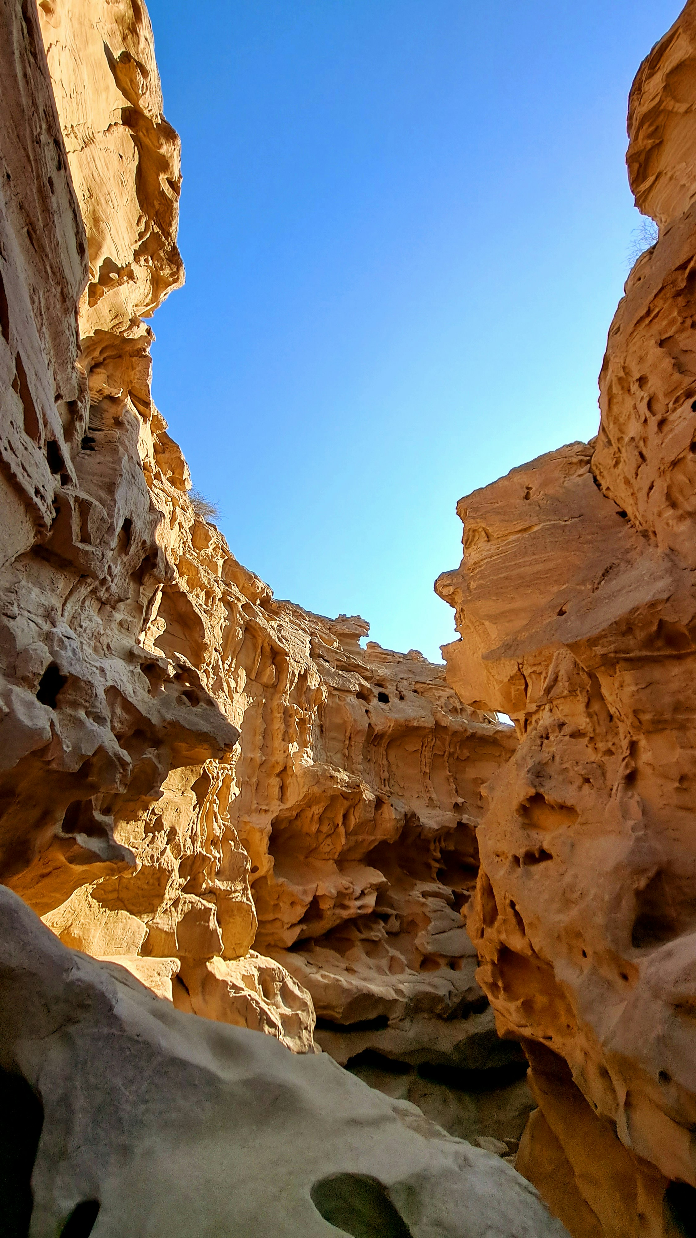 Photo by mahdikordi_ir