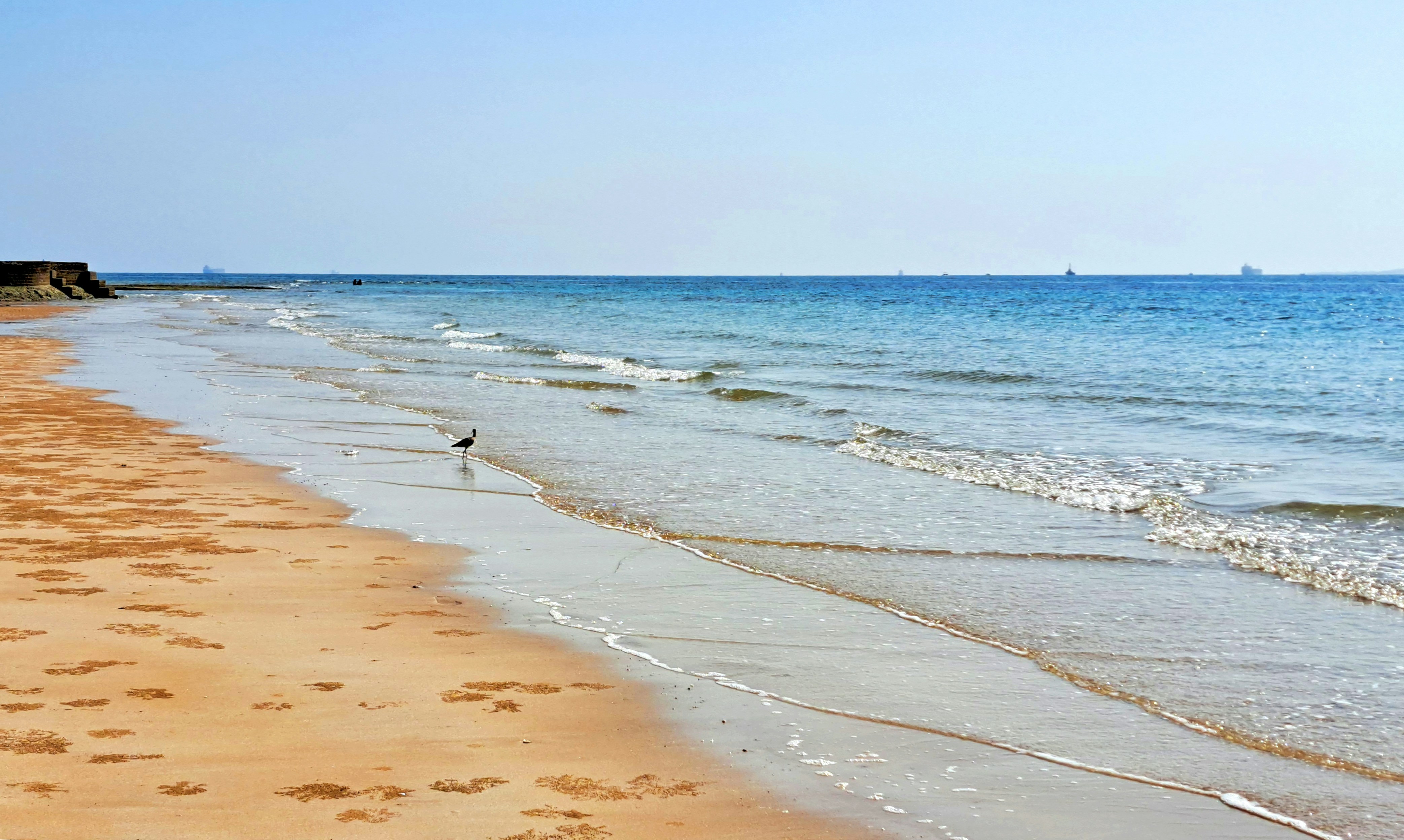 Photo by mahdikordi_ir