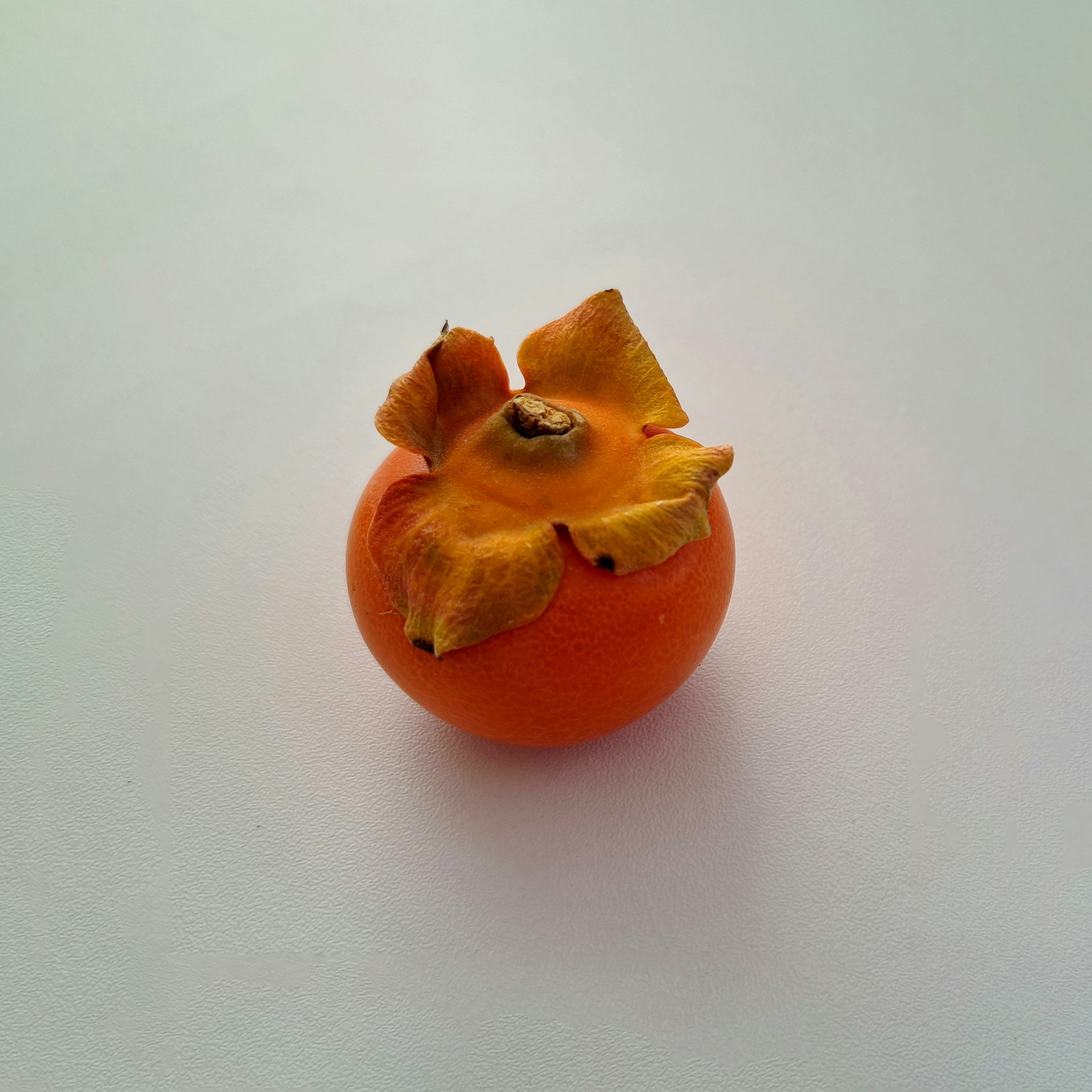 Photo by mahdikordi_ir