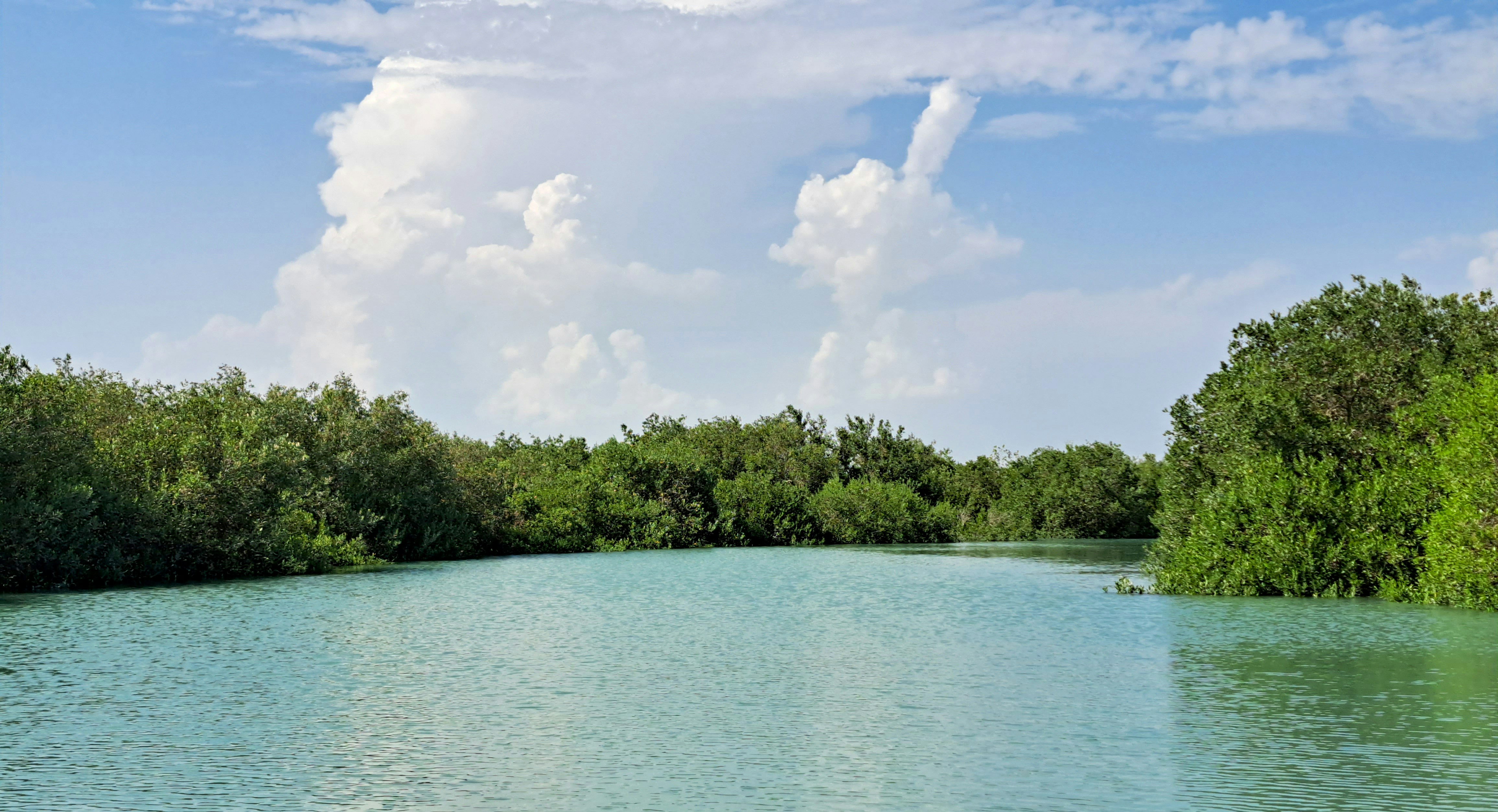 Uno specchio d'acqua circondato da alberi e nuvole