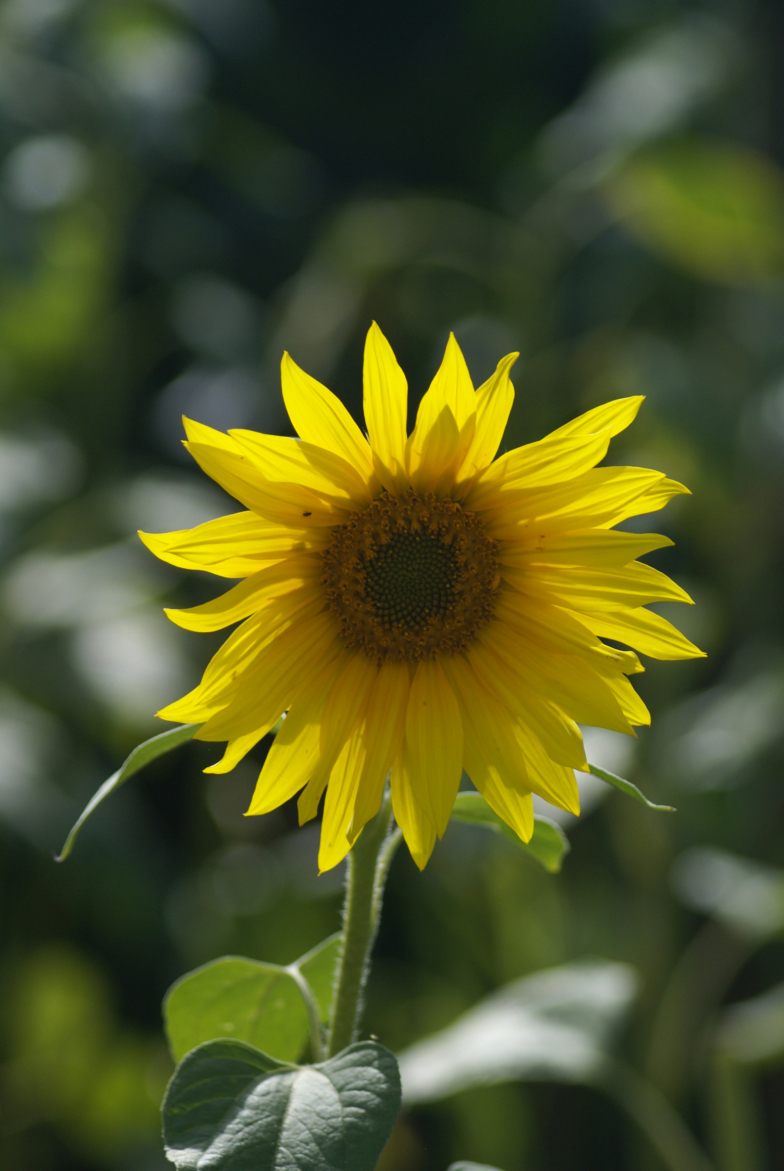 Photo by cehphotography64