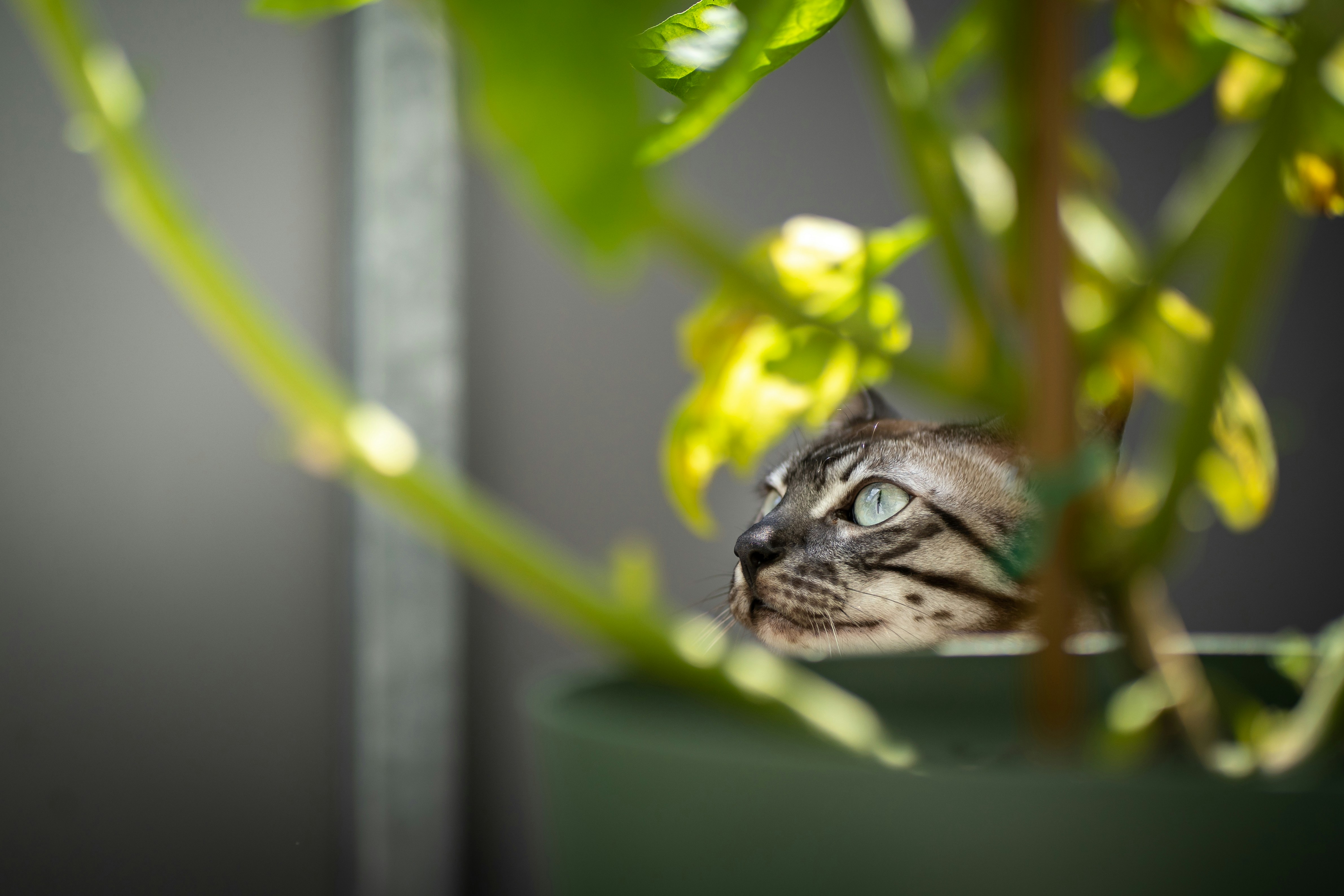 Photo by printlinebyflo