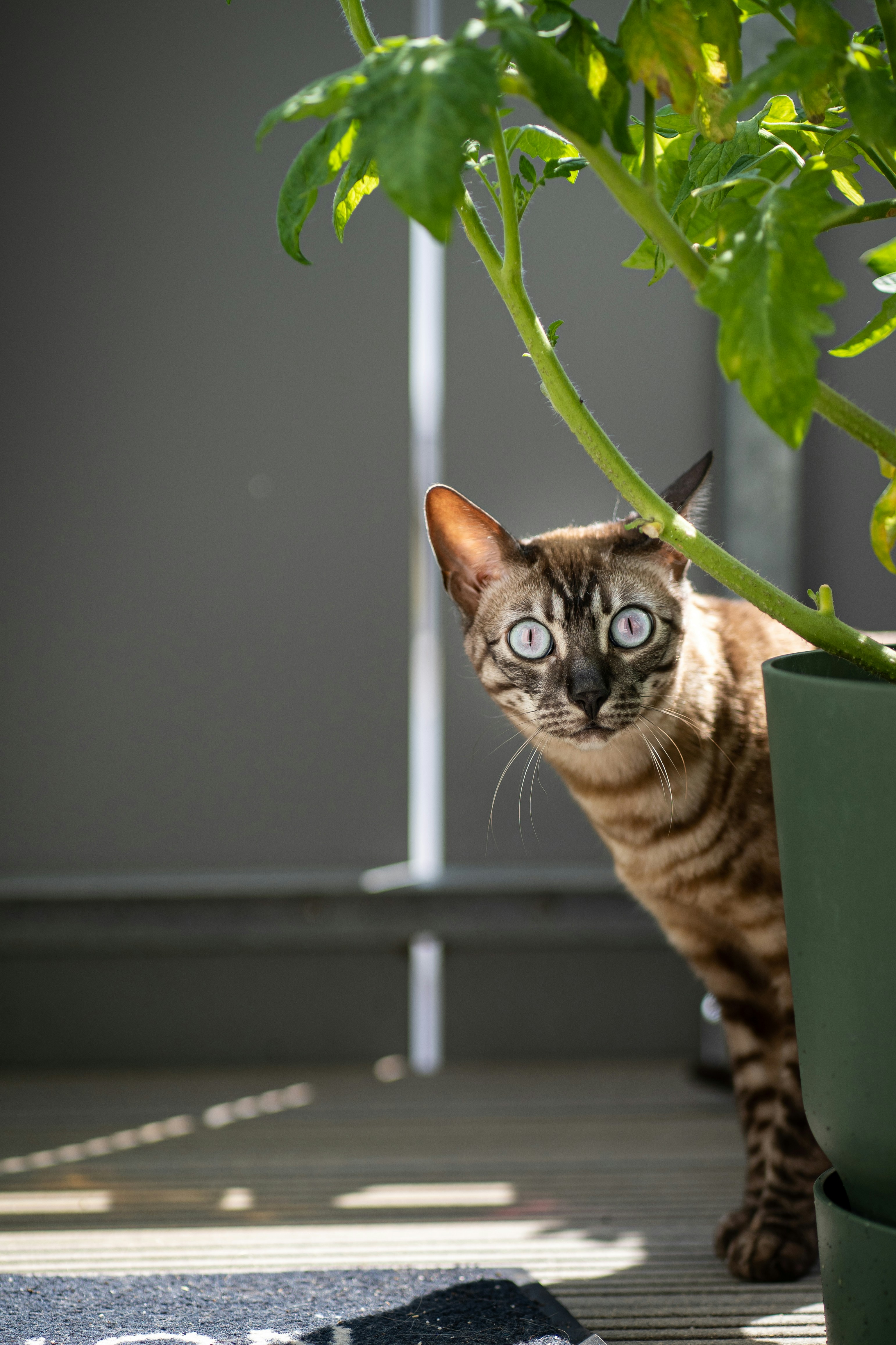 Photo by printlinebyflo